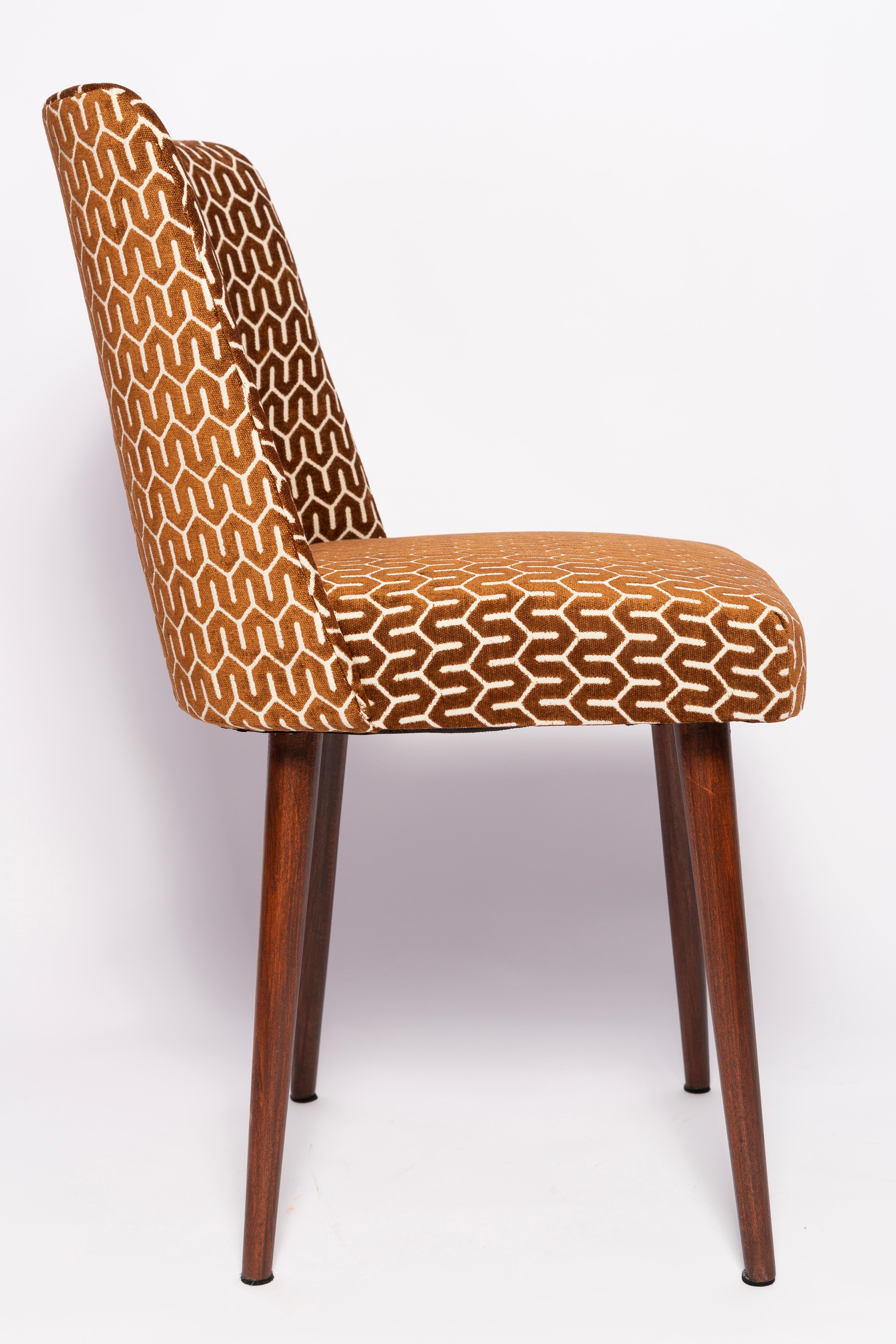 Mid-Century Modern Mid-Century Chocolate Brown 'Shell' Chair, Europe, 1960s For Sale