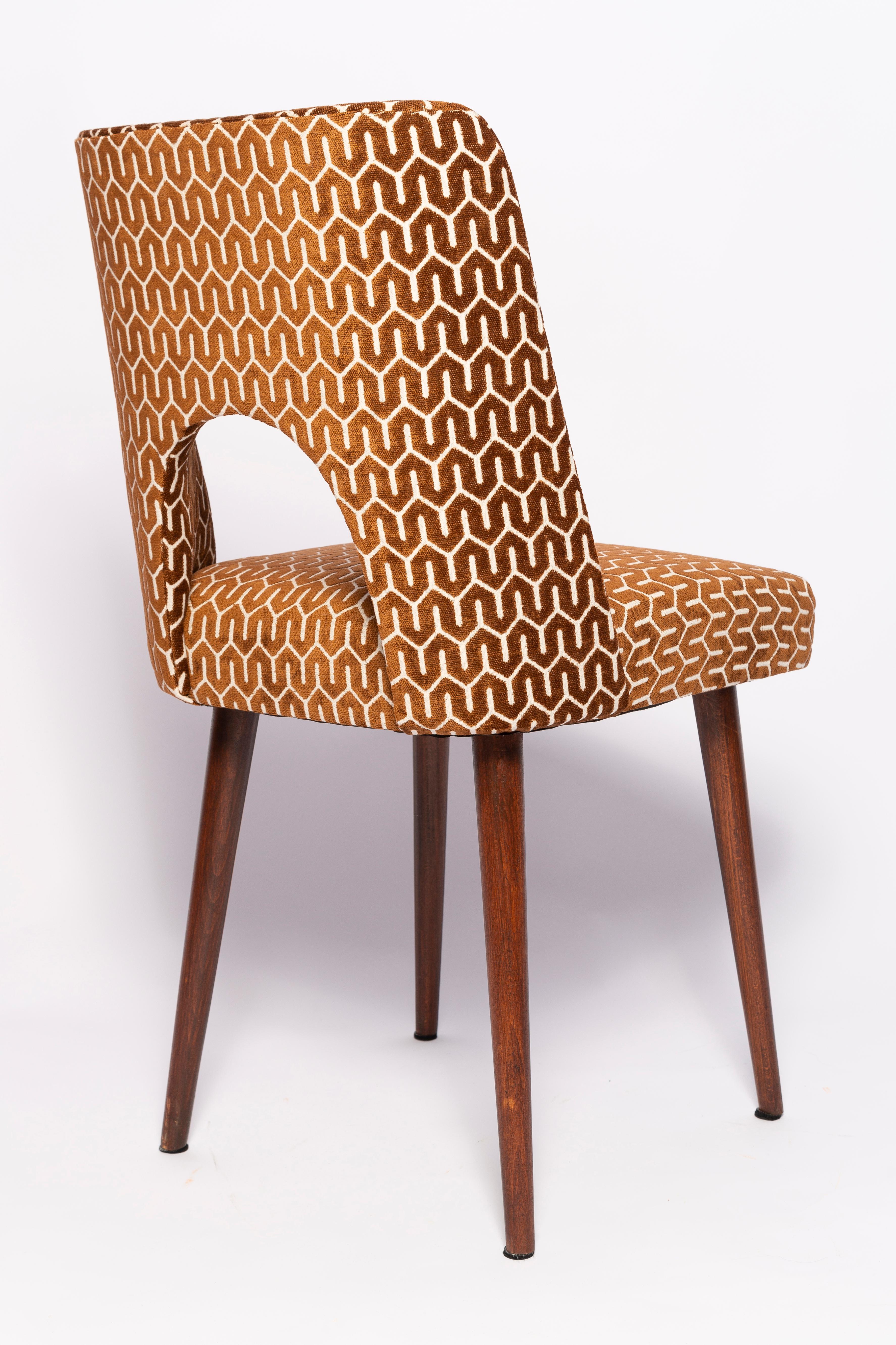 Mid-Century Chocolate Brown 'Shell' Chair, Europe, 1960s For Sale 1
