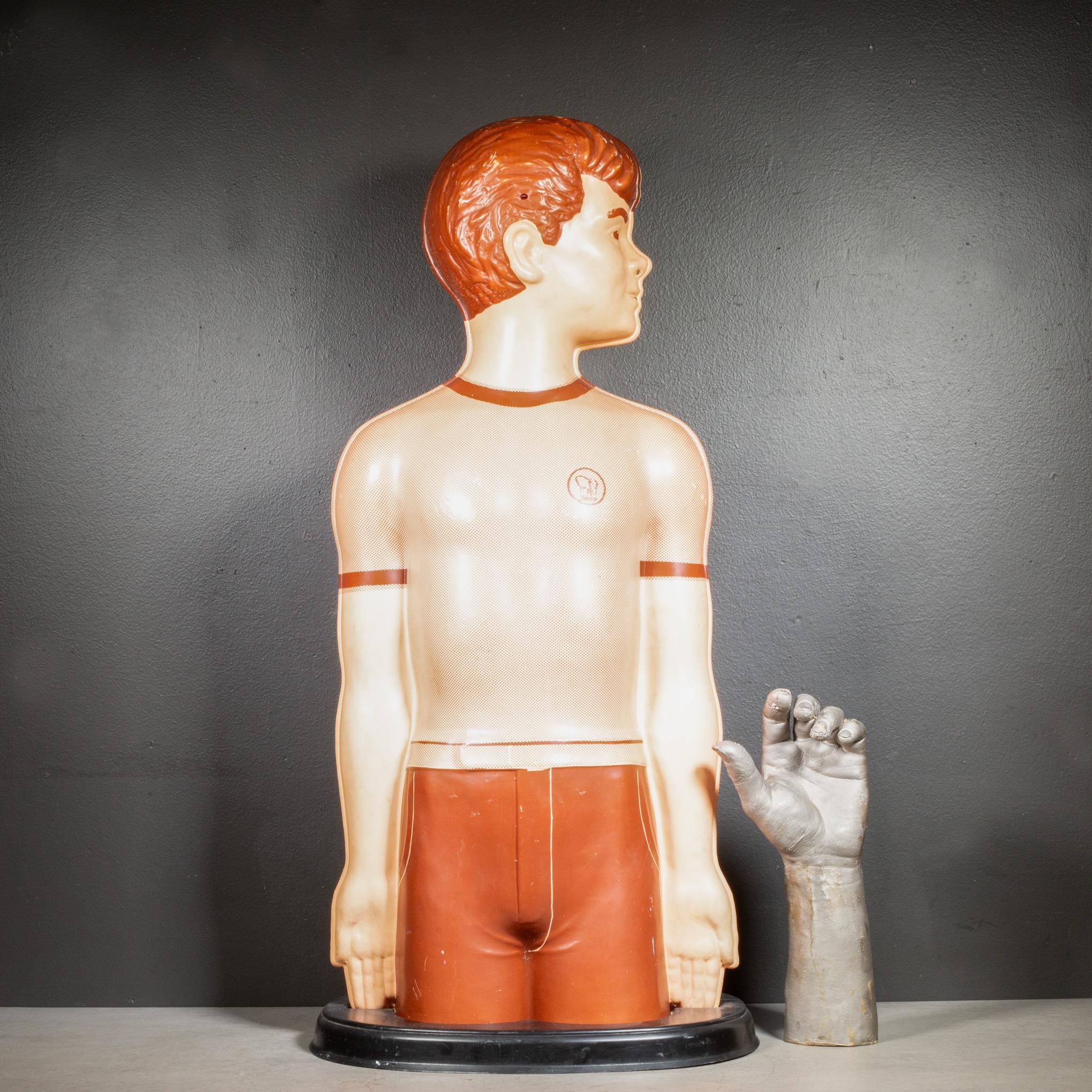 Modello anatomico per l'insegnamento della respirazione di metà secolo, 1950 ca. in vendita 6