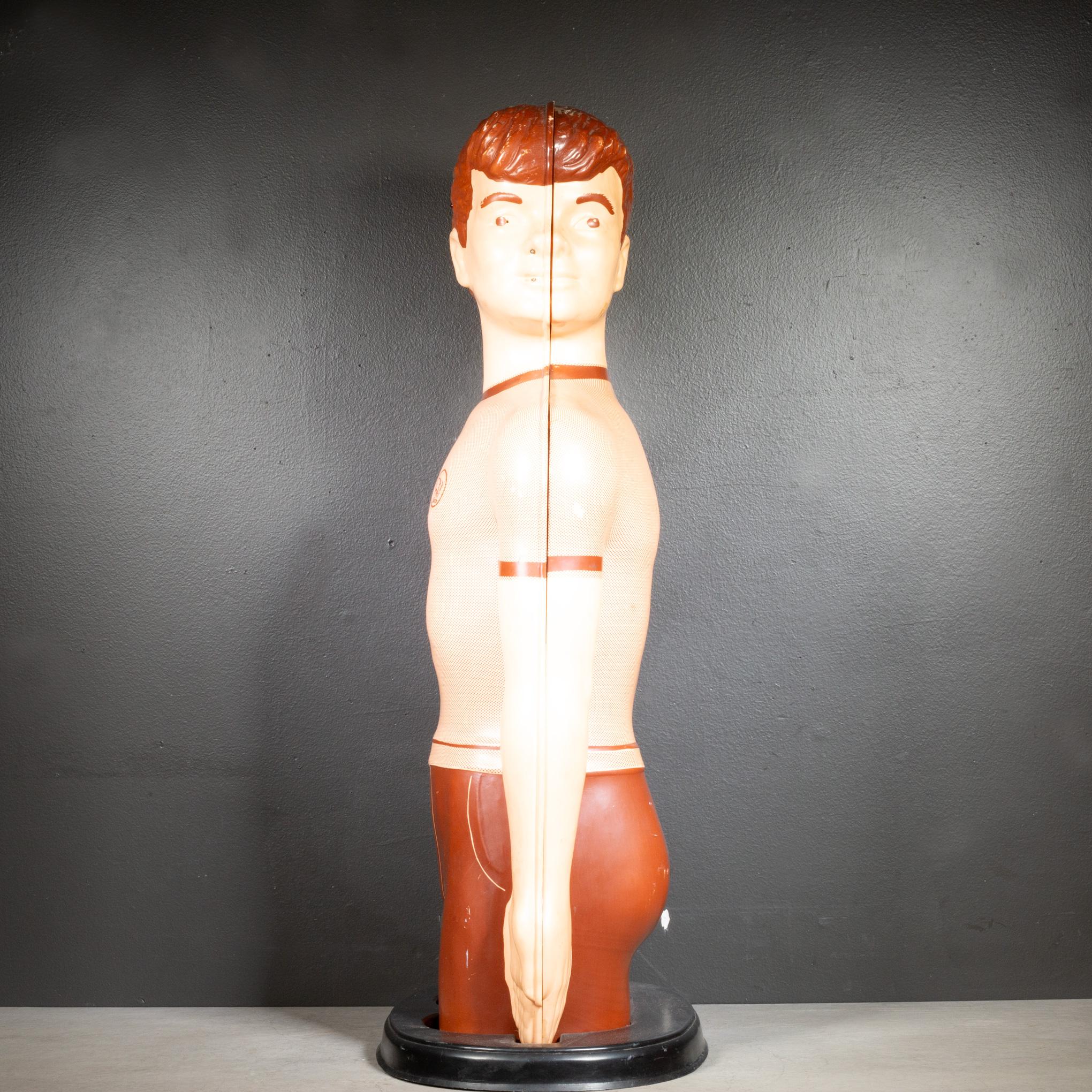 Modello anatomico per l'insegnamento della respirazione di metà secolo, 1950 ca. in vendita 3