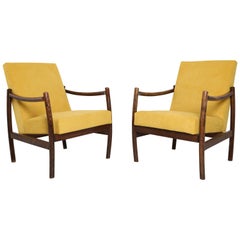 Mid Century Club Armchair in Yellow Velvet, Europe 1960s