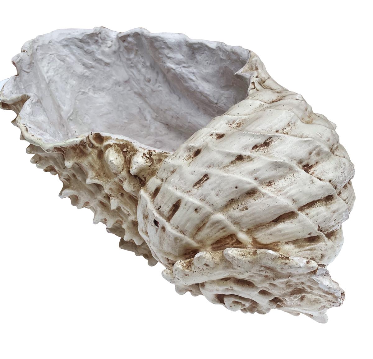 faux seashells