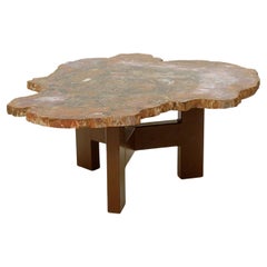 Mid-Century Coffee Table in Petrified Wood and Steel