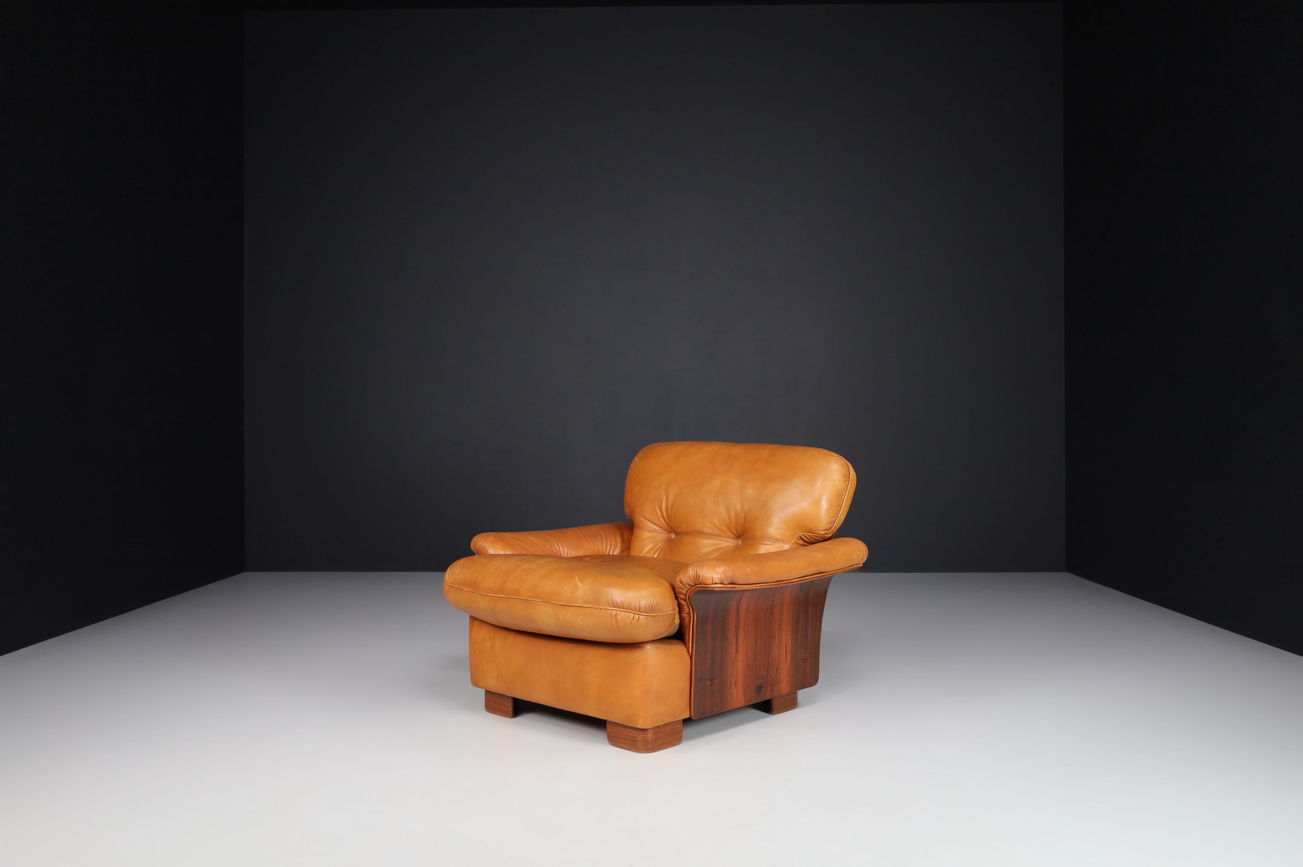 Mid-Century Cognac Leather and Bentwood Armchairs-Lounge Chairs, Italy, 1960s 7