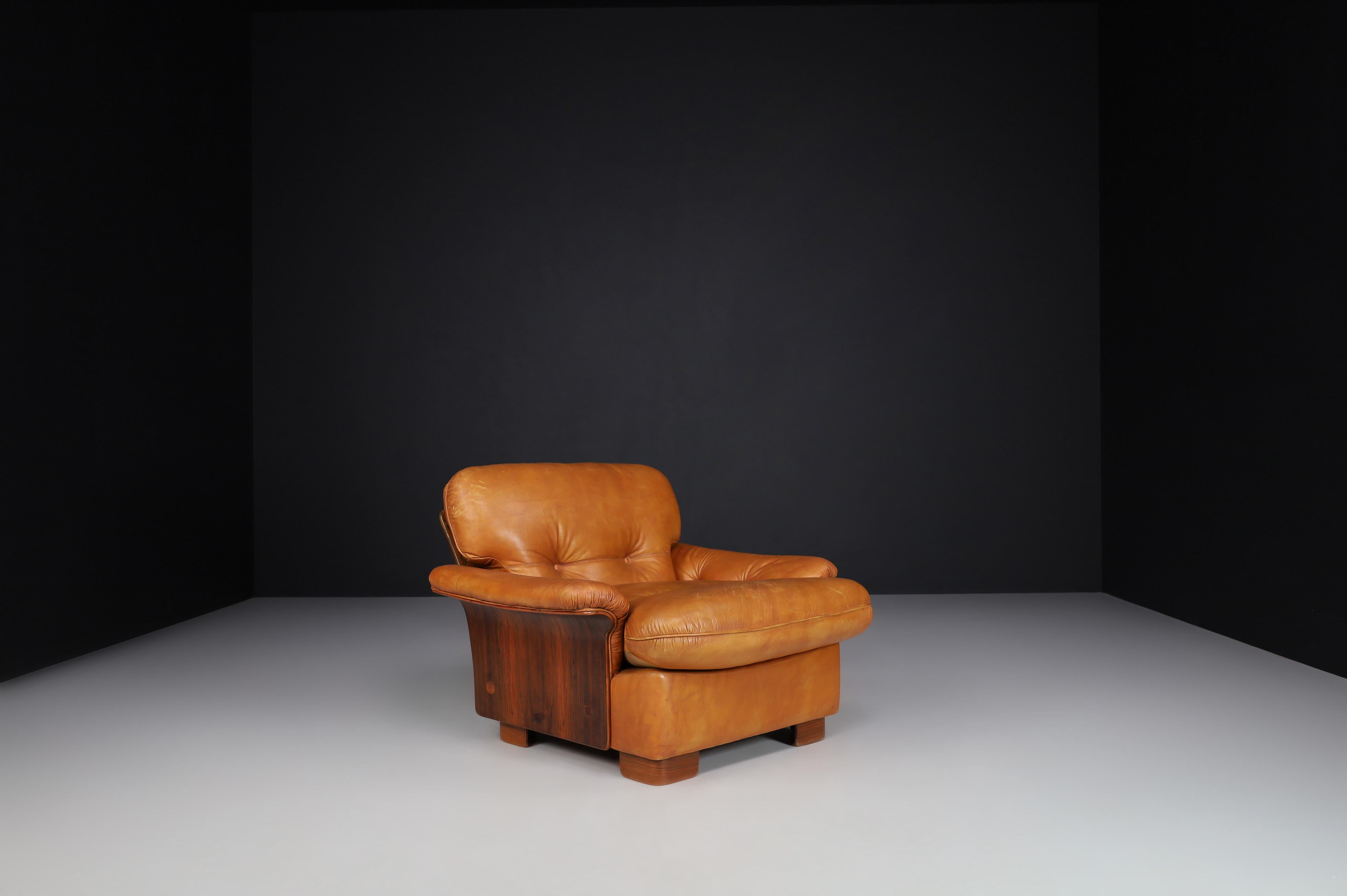 Mid-Century Cognac Leather and Bentwood Armchairs-Lounge Chairs, Italy, 1960s 8