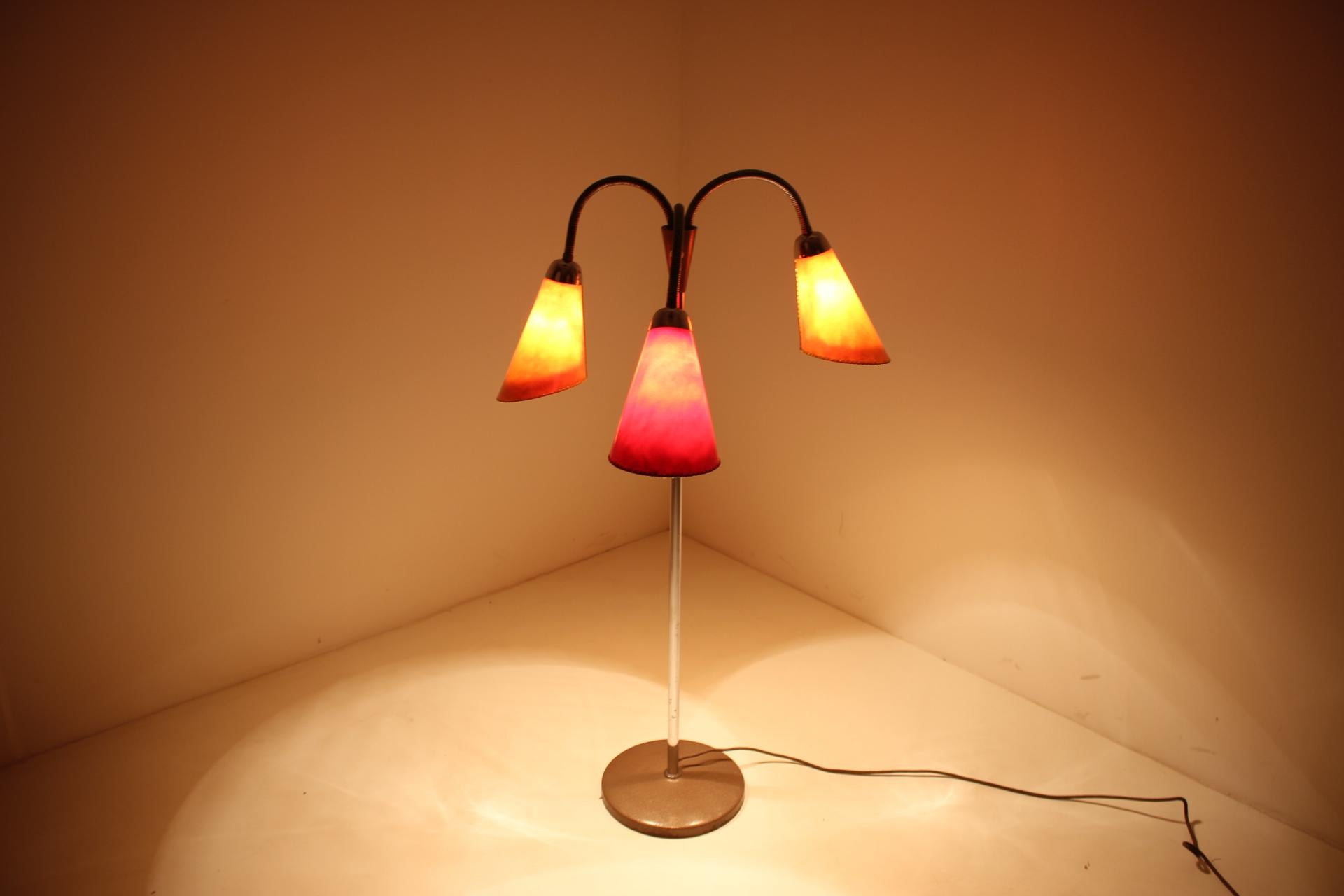 Midcentury Color Floor Lamp, 1950s 3