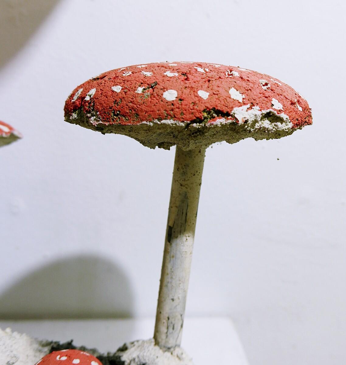 diy concrete mushrooms