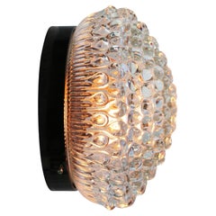Mid-Century Crystal Clear Glass Bakelite Sconces Flush Mounts by WILA