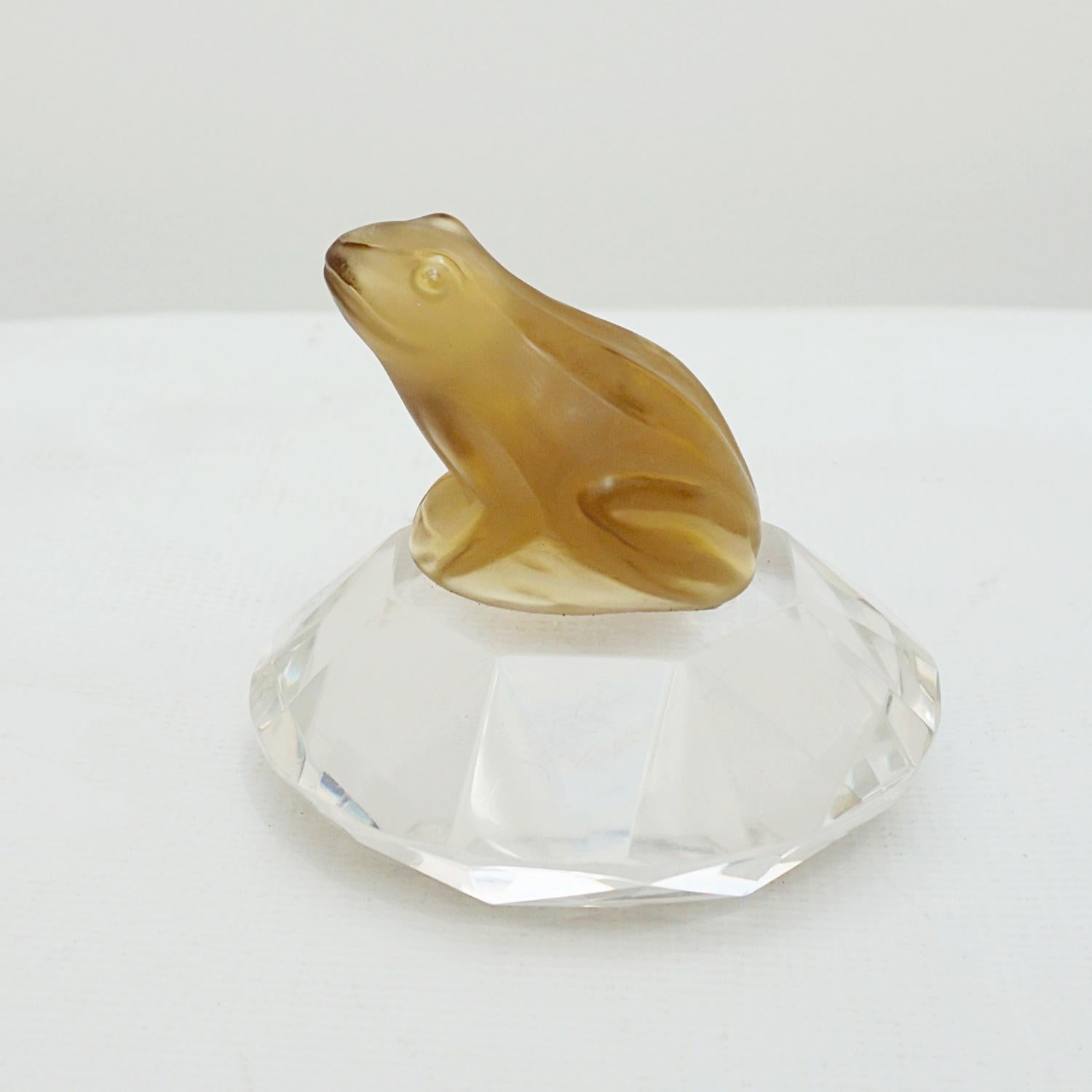 glass frog origin