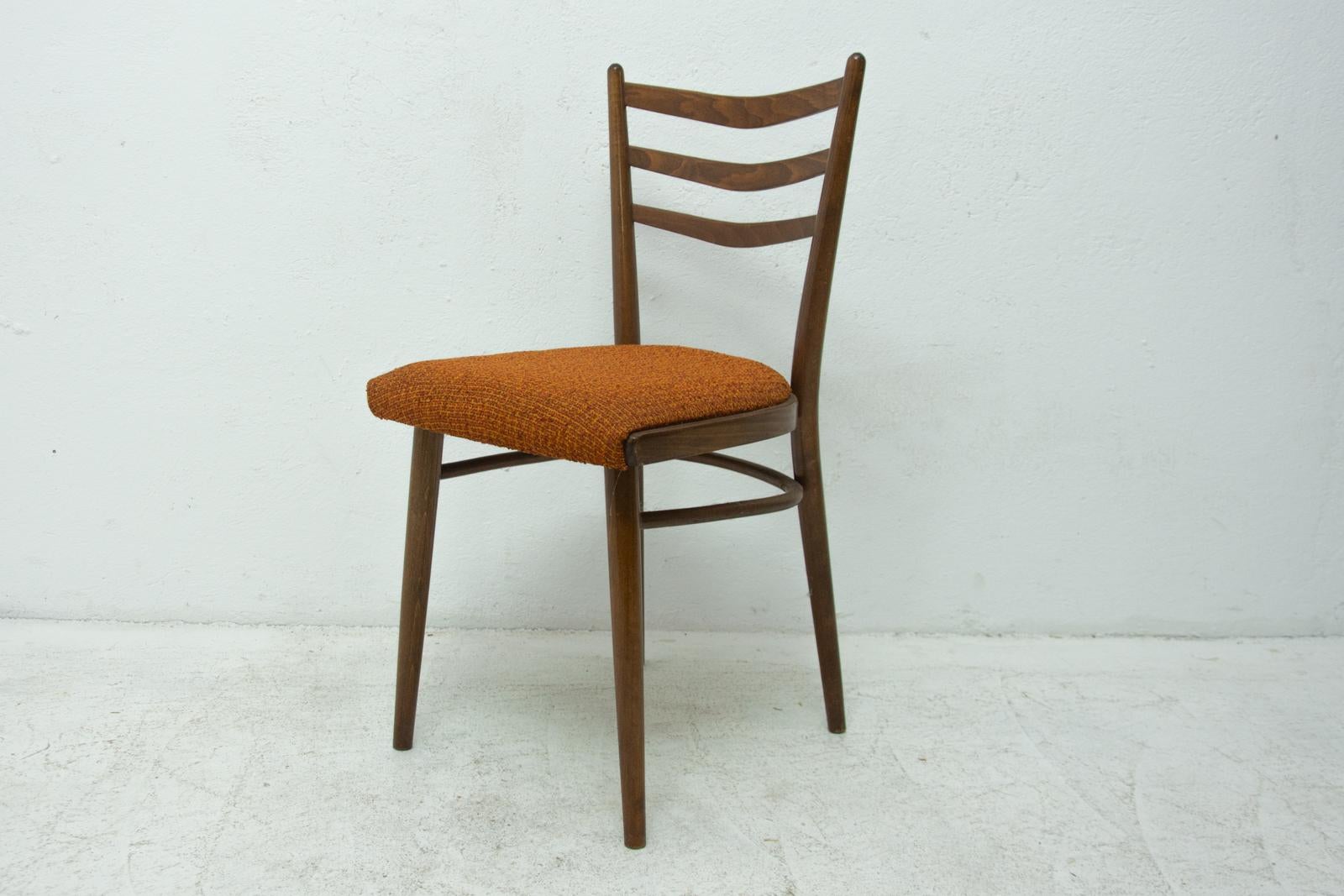 Midcentury Czechoslovak Dining Chairs, 1960s, Set of Four 5