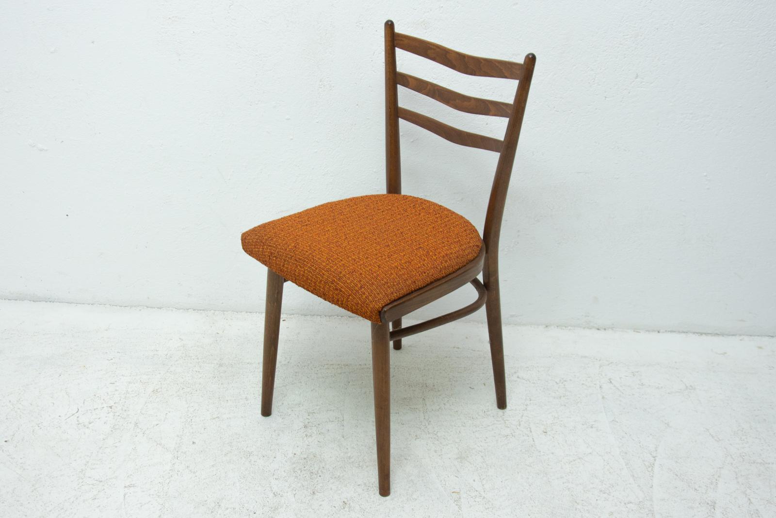 Midcentury Czechoslovak Dining Chairs, 1960s, Set of Four 6