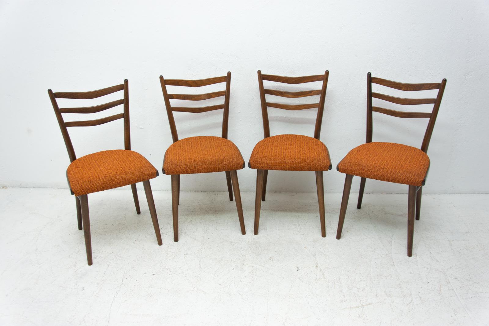 Scandinavian Modern Midcentury Czechoslovak Dining Chairs, 1960s, Set of Four