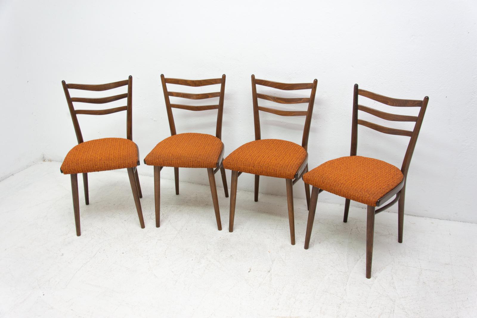 Stained Midcentury Czechoslovak Dining Chairs, 1960s, Set of Four