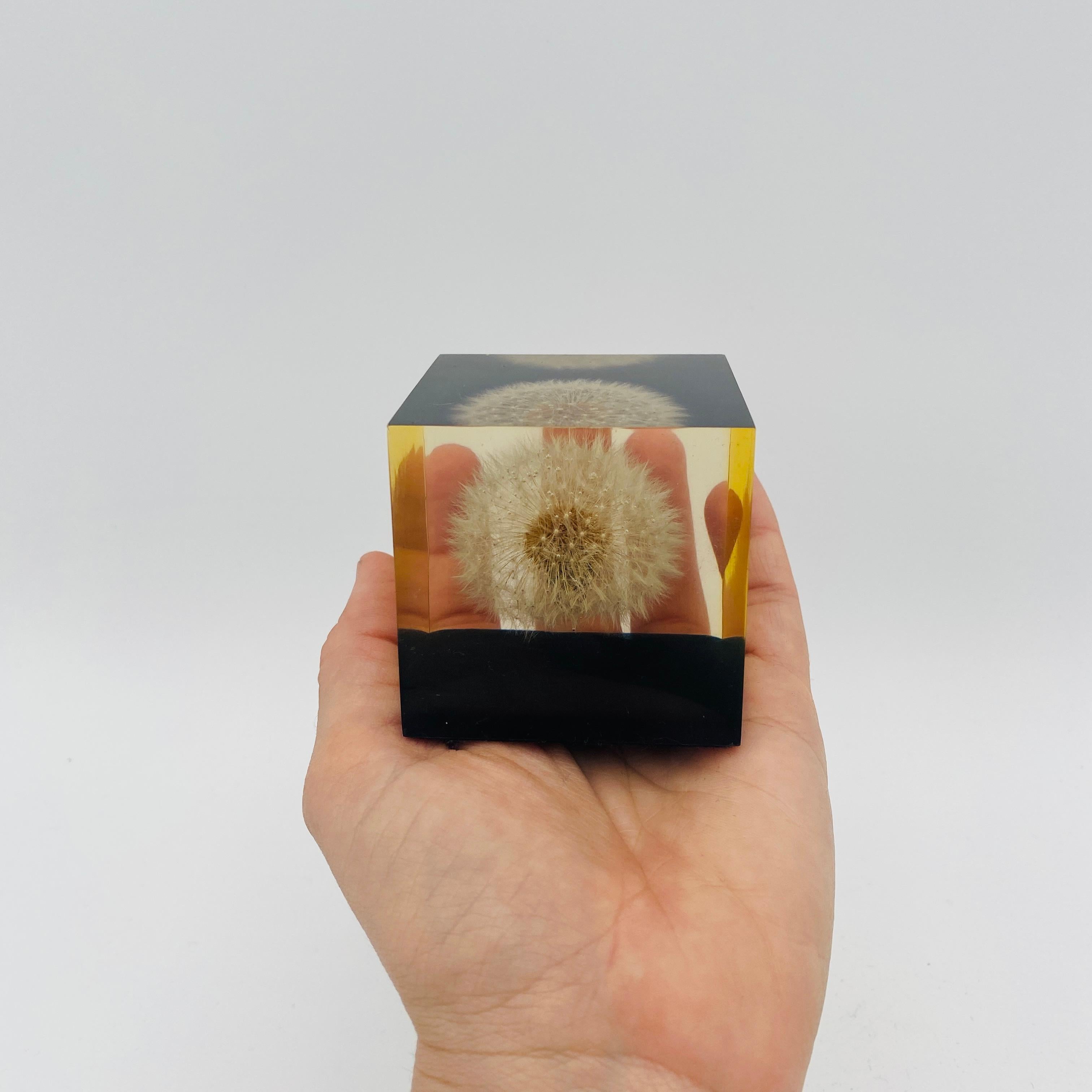 Mid Century Dandelion Flower Lucite Paperweight by Gumps USA 1960s For Sale 4