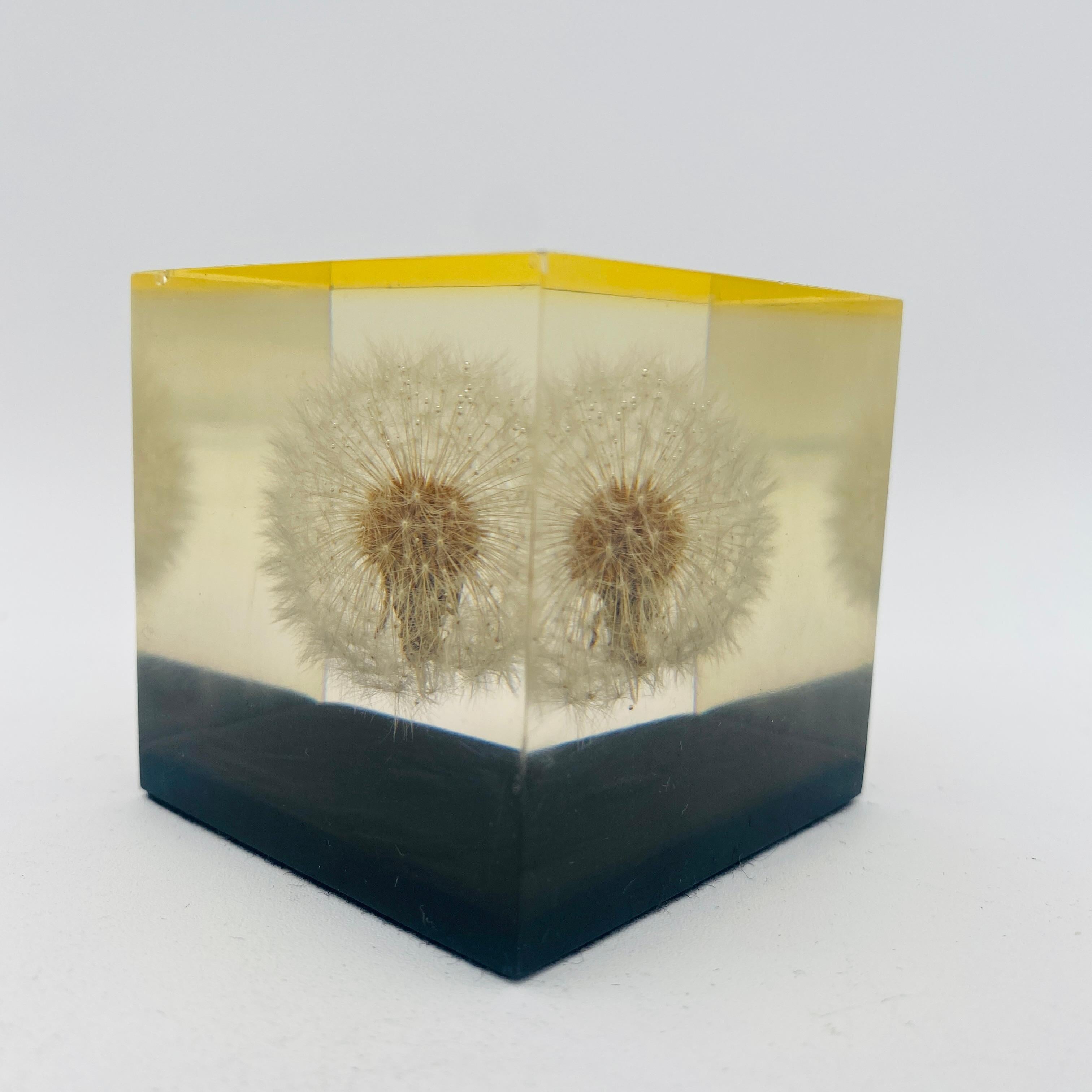 This is a vintage mid-century dandelion flower encased in lucite paperweight made by Gumps USA in the 1960s. It is a perfect decorative piece of art for a desk or mid-century inspired home. It is hard to find an authentic vintage one. The original