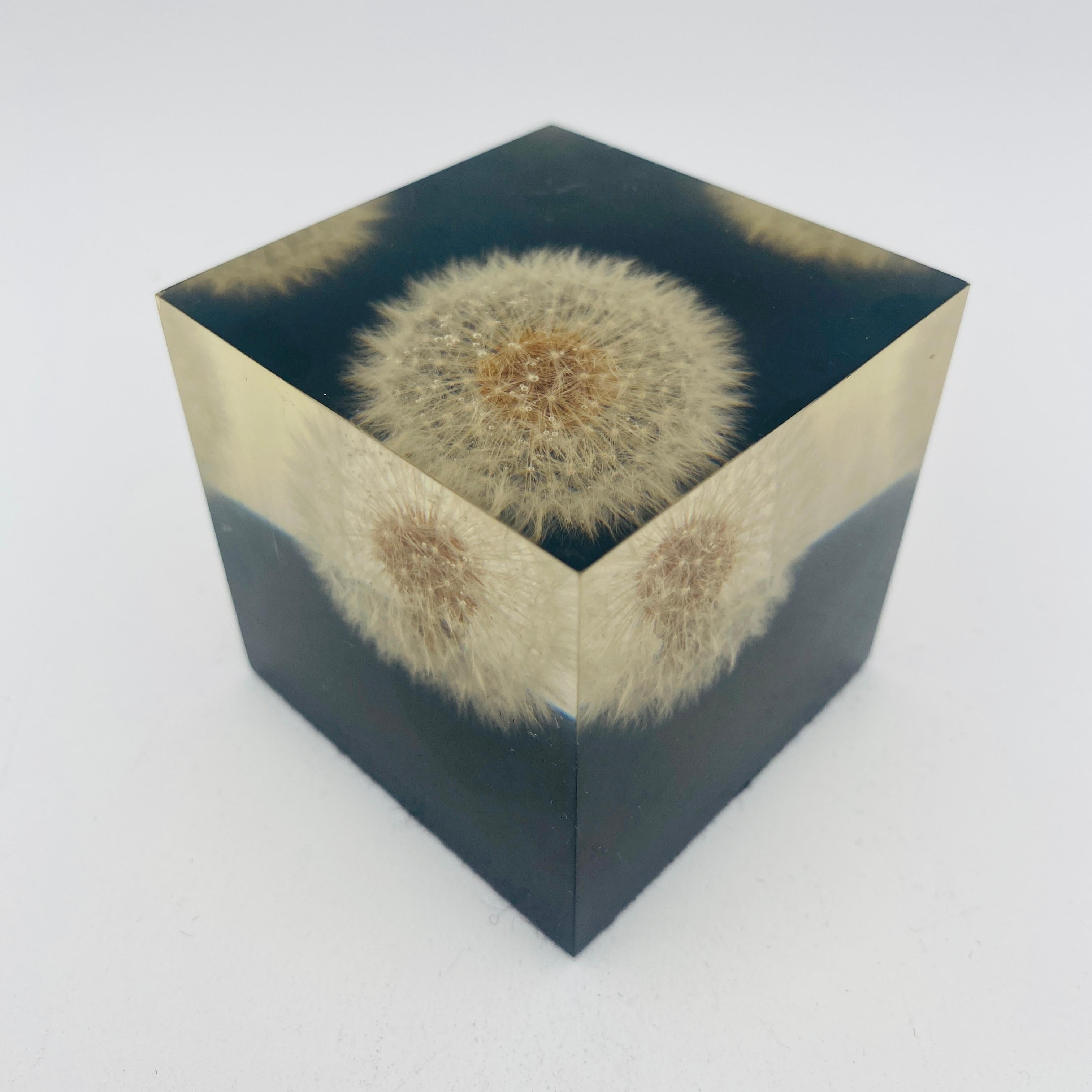 Mid-Century Modern Mid Century Dandelion Flower Lucite Paperweight by Gumps USA 1960s For Sale