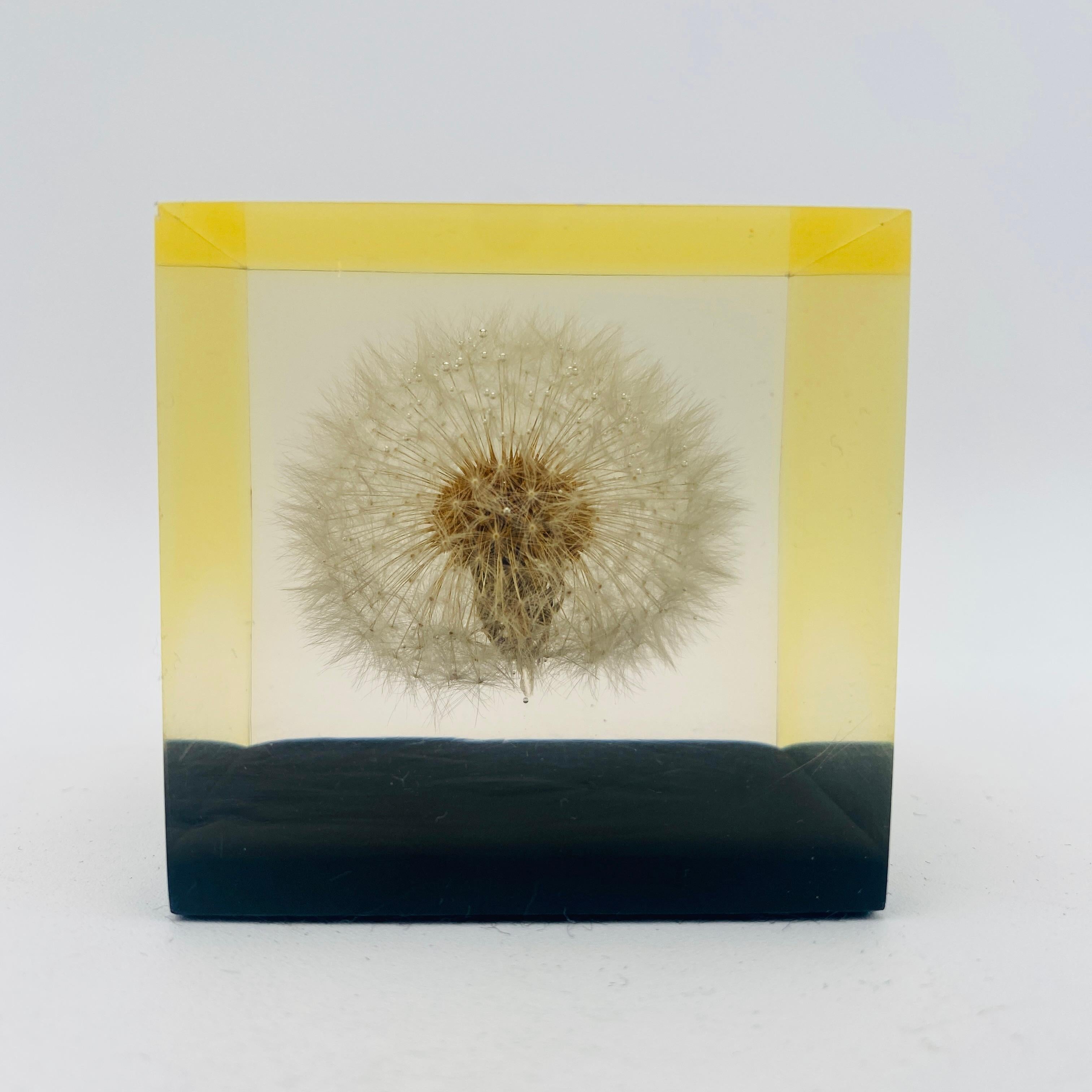 American Mid Century Dandelion Flower Lucite Paperweight by Gumps USA 1960s For Sale