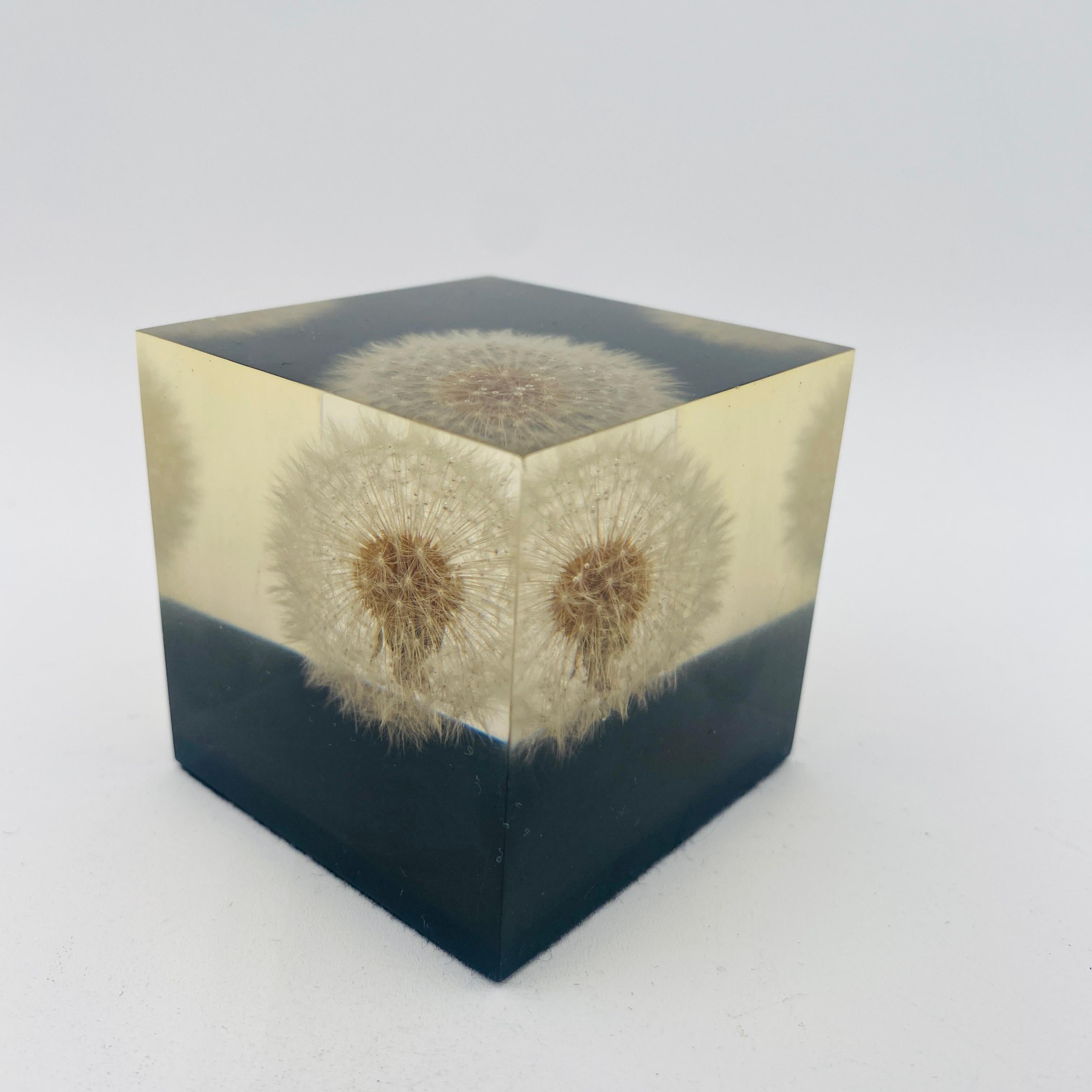Cast Mid Century Dandelion Flower Lucite Paperweight by Gumps USA 1960s For Sale