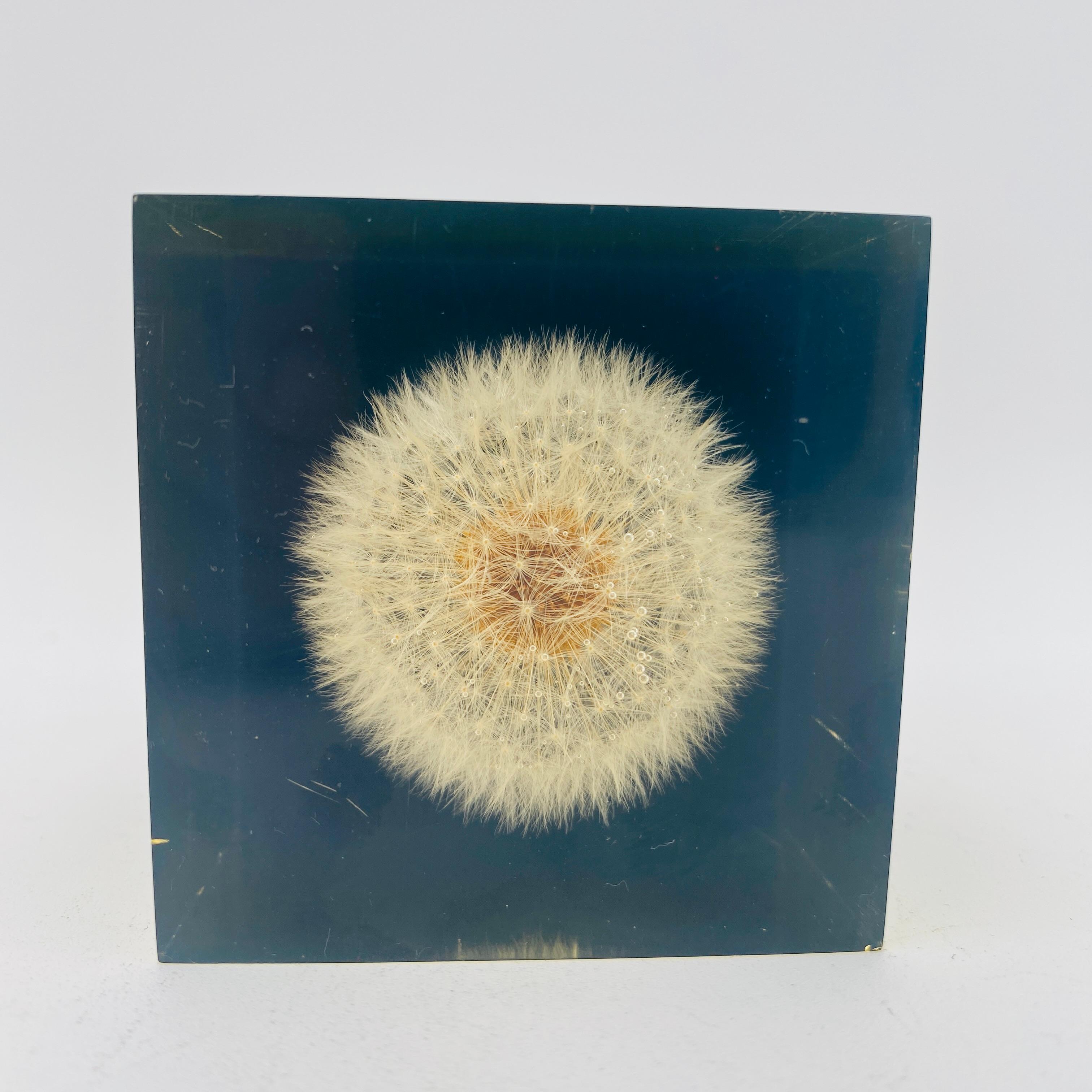 Mid Century Dandelion Flower Lucite Paperweight by Gumps USA 1960s In Good Condition For Sale In San Juan Capistrano, CA