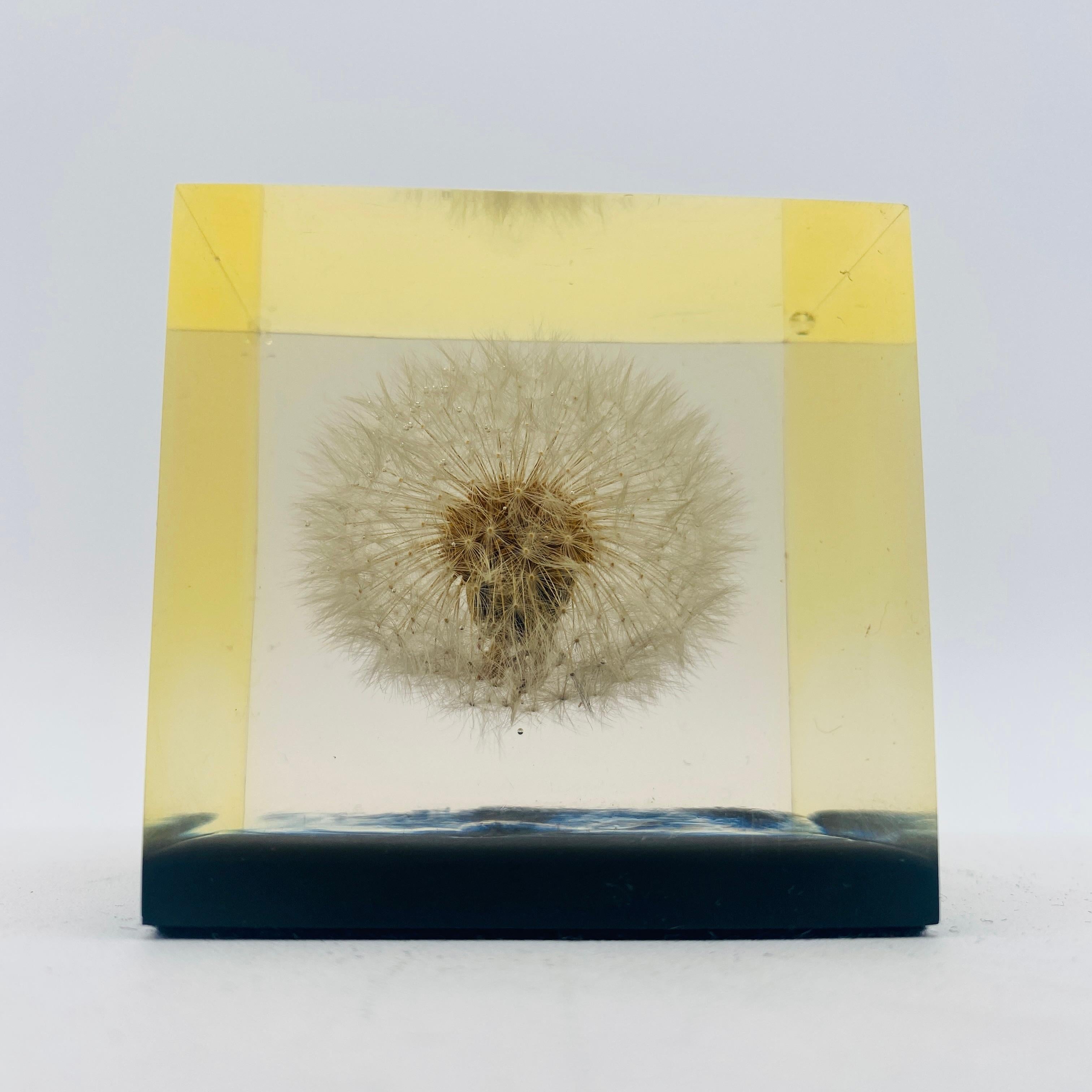 Mid-20th Century Mid Century Dandelion Flower Lucite Paperweight by Gumps USA 1960s For Sale