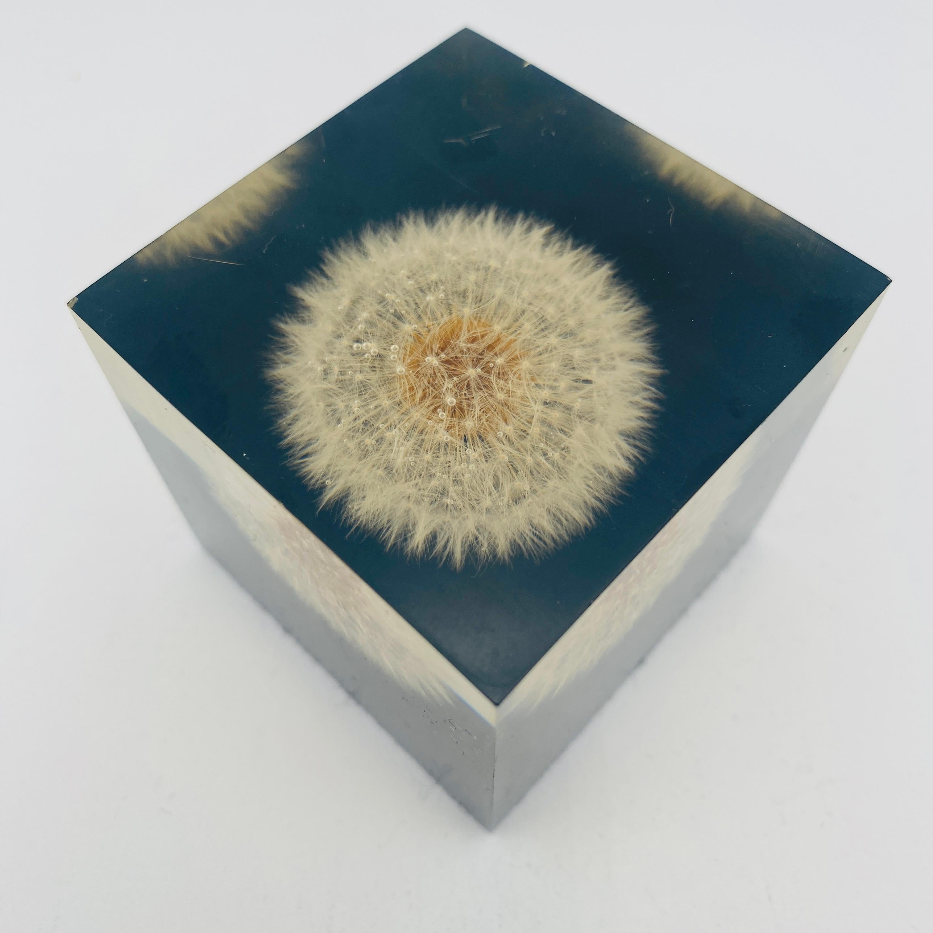 Mid Century Dandelion Flower Lucite Paperweight by Gumps USA 1960s For Sale 1