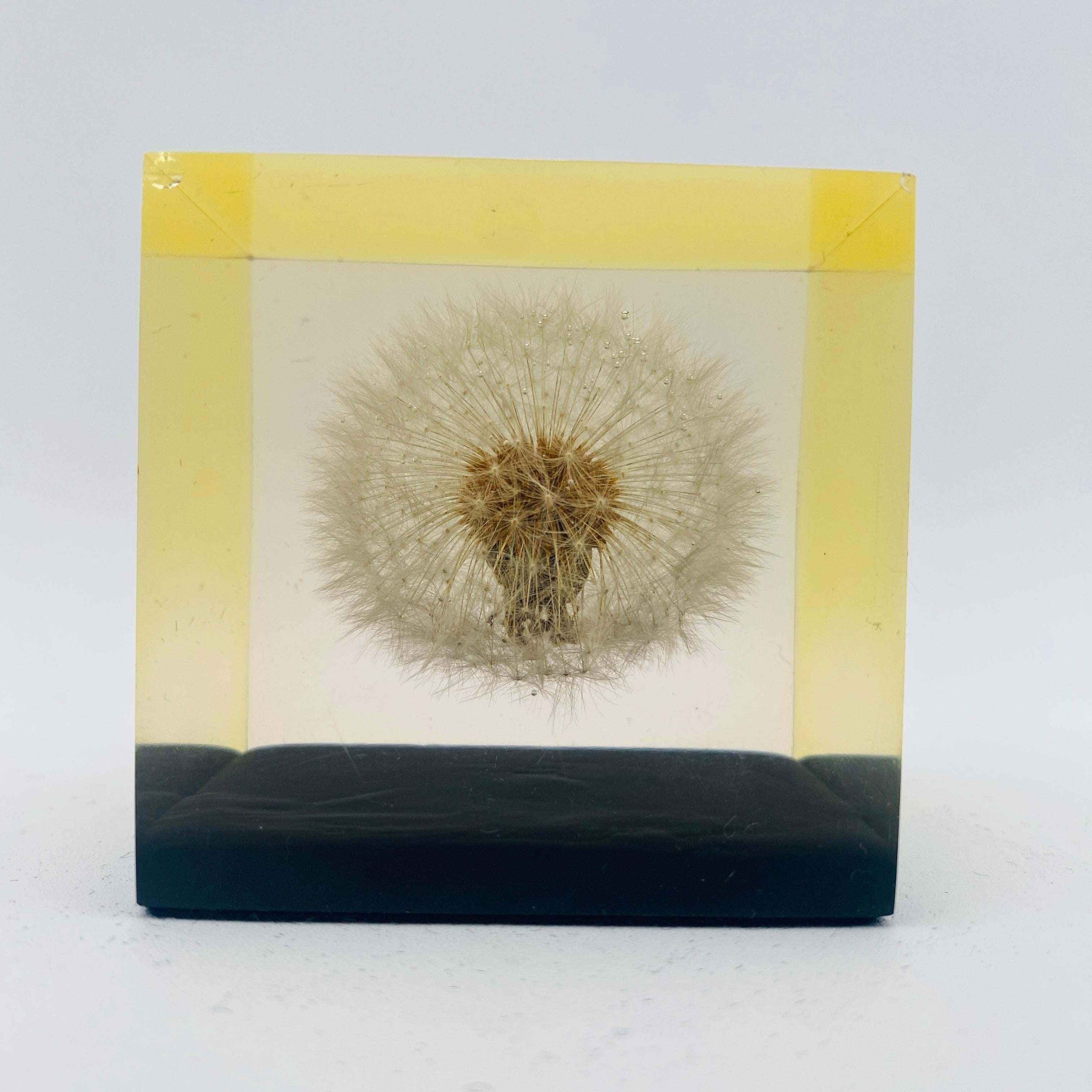 Mid Century Dandelion Flower Lucite Paperweight by Gumps USA 1960s For Sale 2
