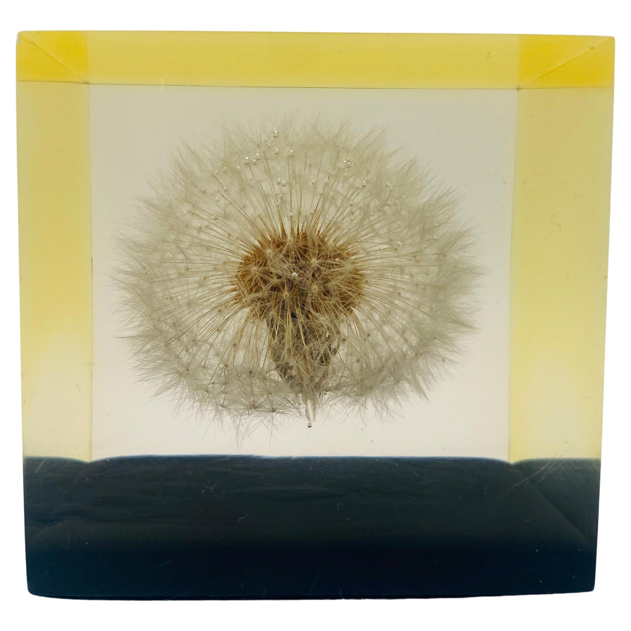 Mid Century Dandelion Flower Lucite Paperweight by Gumps USA 1960s For Sale