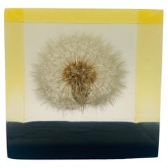 Mid Century Dandelion Flower Lucite Paperweight by Gumps USA 1960s
