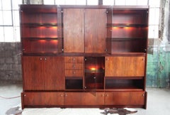 Mid Century Danish Modern Style Freestanding Rosewood Wall Unit with Lights