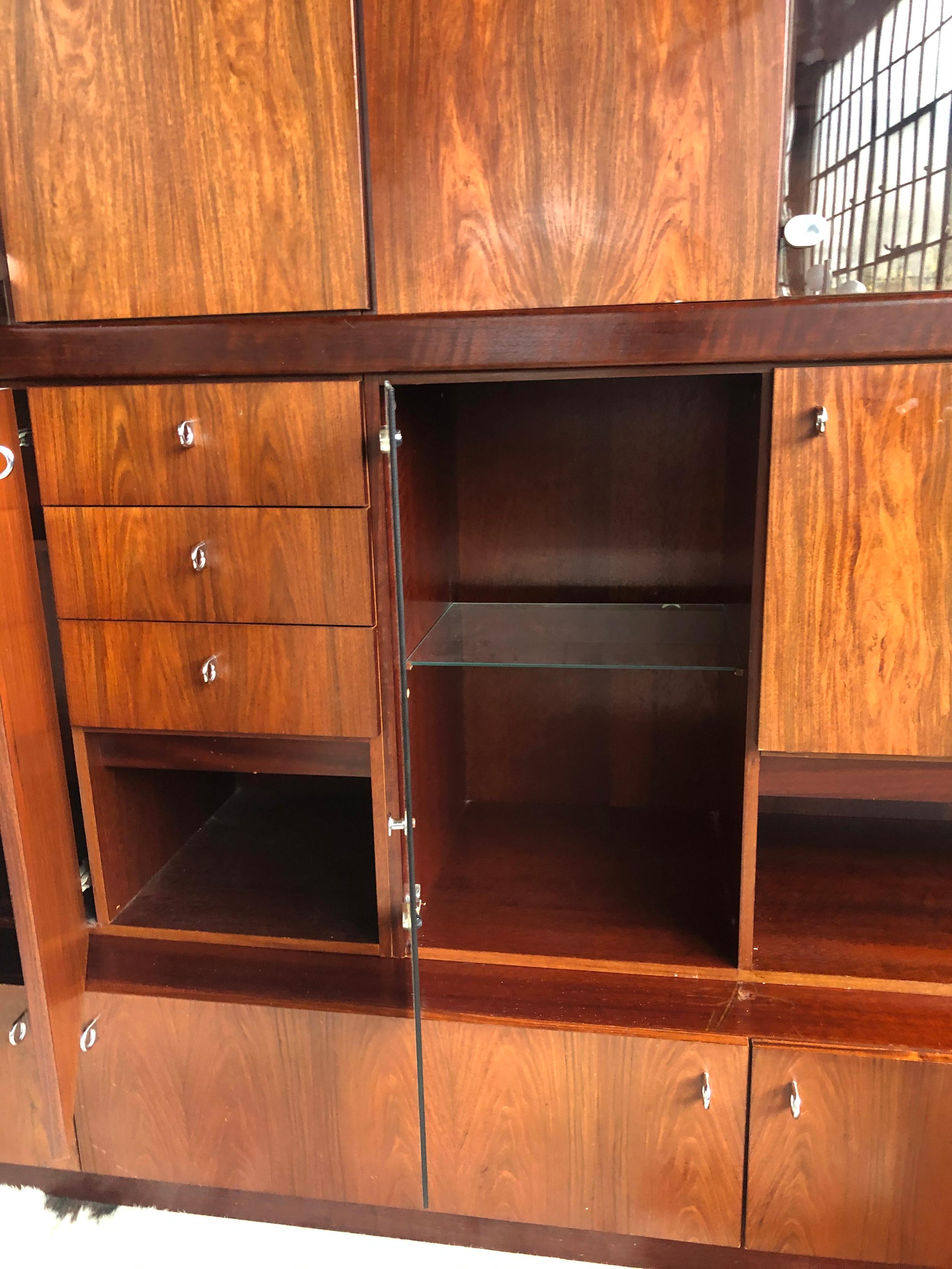 Glass Mid Century Danish Modern Style Freestanding Rosewood Wall Unit with Lights