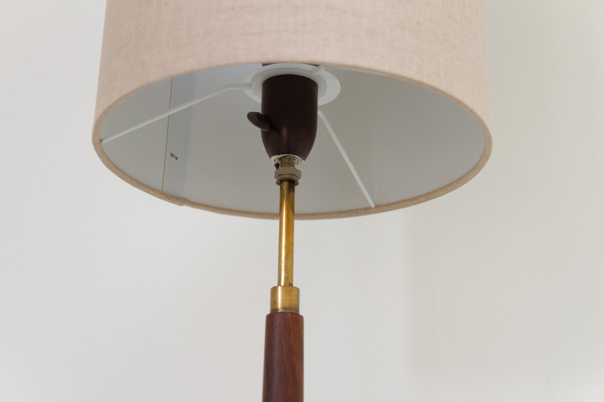 Mid-20th Century Midcentury Danish Rosewood Floor Lamp, 1960s.