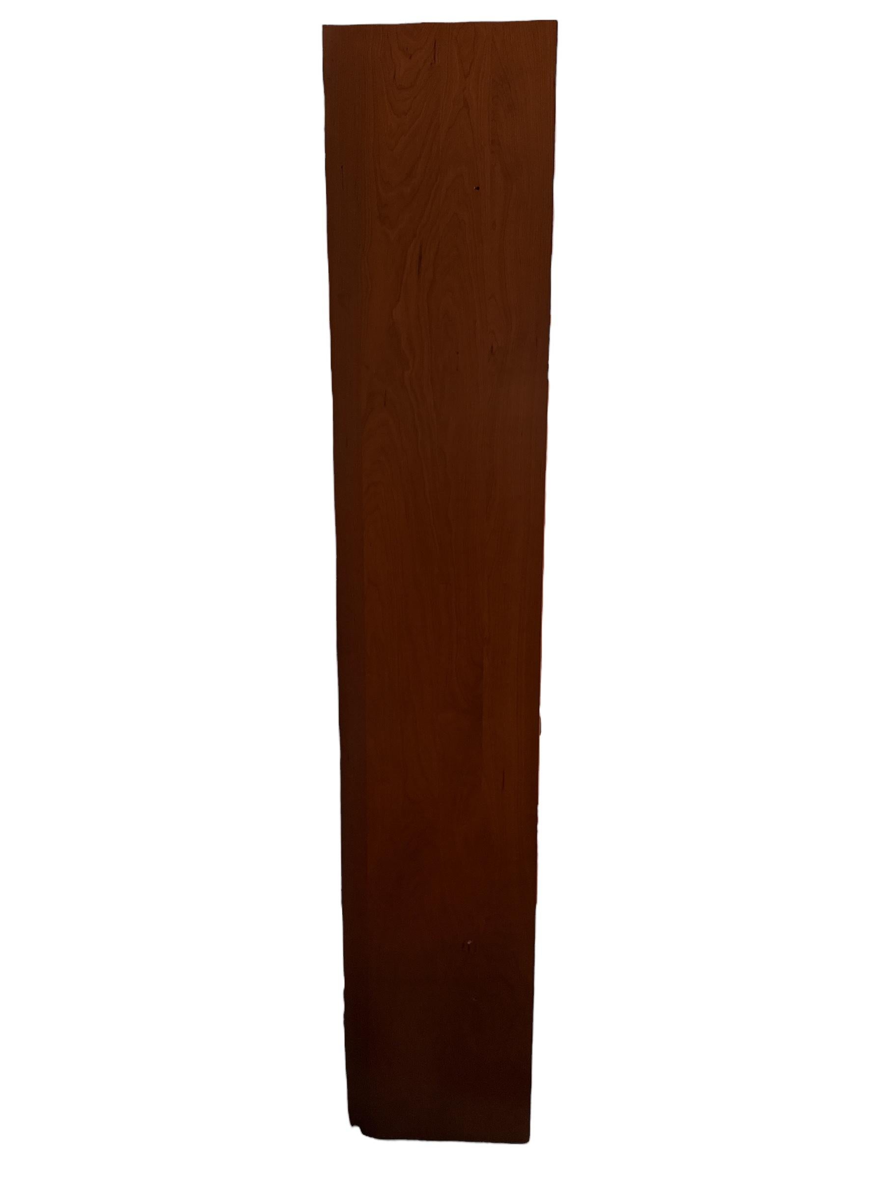 Vetrina libreria in teak danese del metà secolo con luce in vendita 1