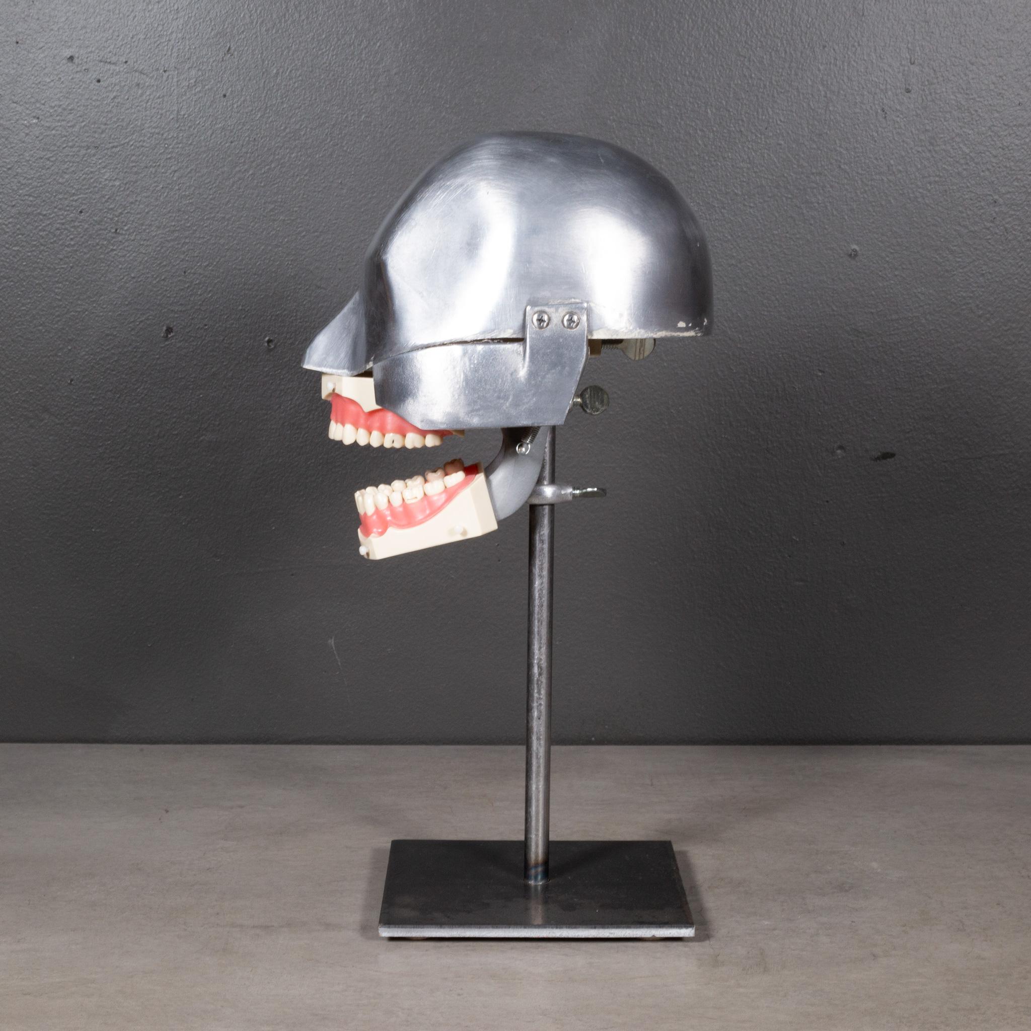 Industrial Mid-century Dental Phantom Head Model on Custom Stand c.1960s  (FREE SHIPPING) For Sale