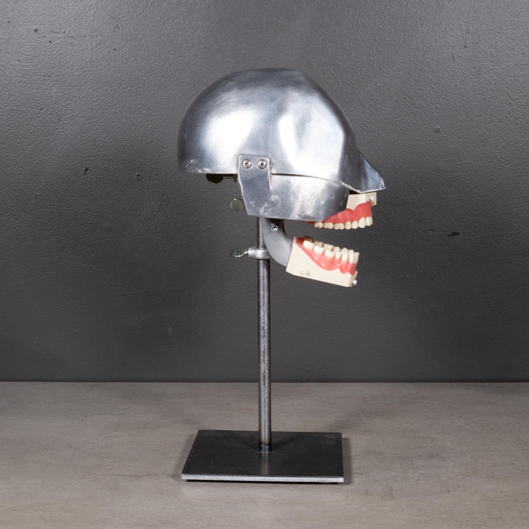 20th Century Mid-century Dental Phantom Head Model on Custom Stand c.1960s  (FREE SHIPPING) For Sale