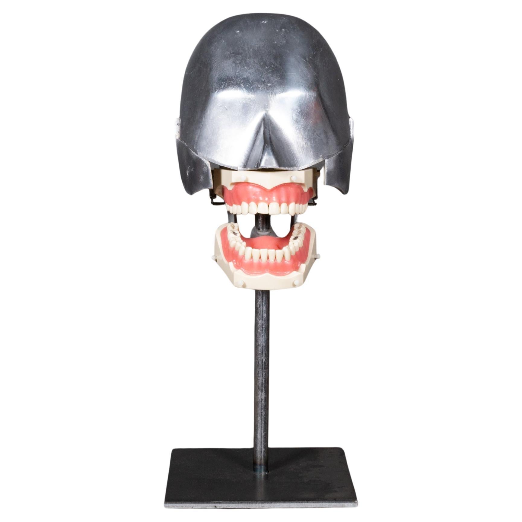 Mid-century Dental Phantom Head Model on Custom Stand c.1960s  (FREE SHIPPING)