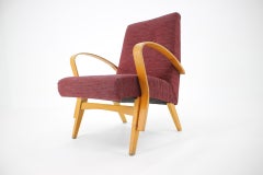 Midcentury Design Armchair / Czechoslovakia, 1960s