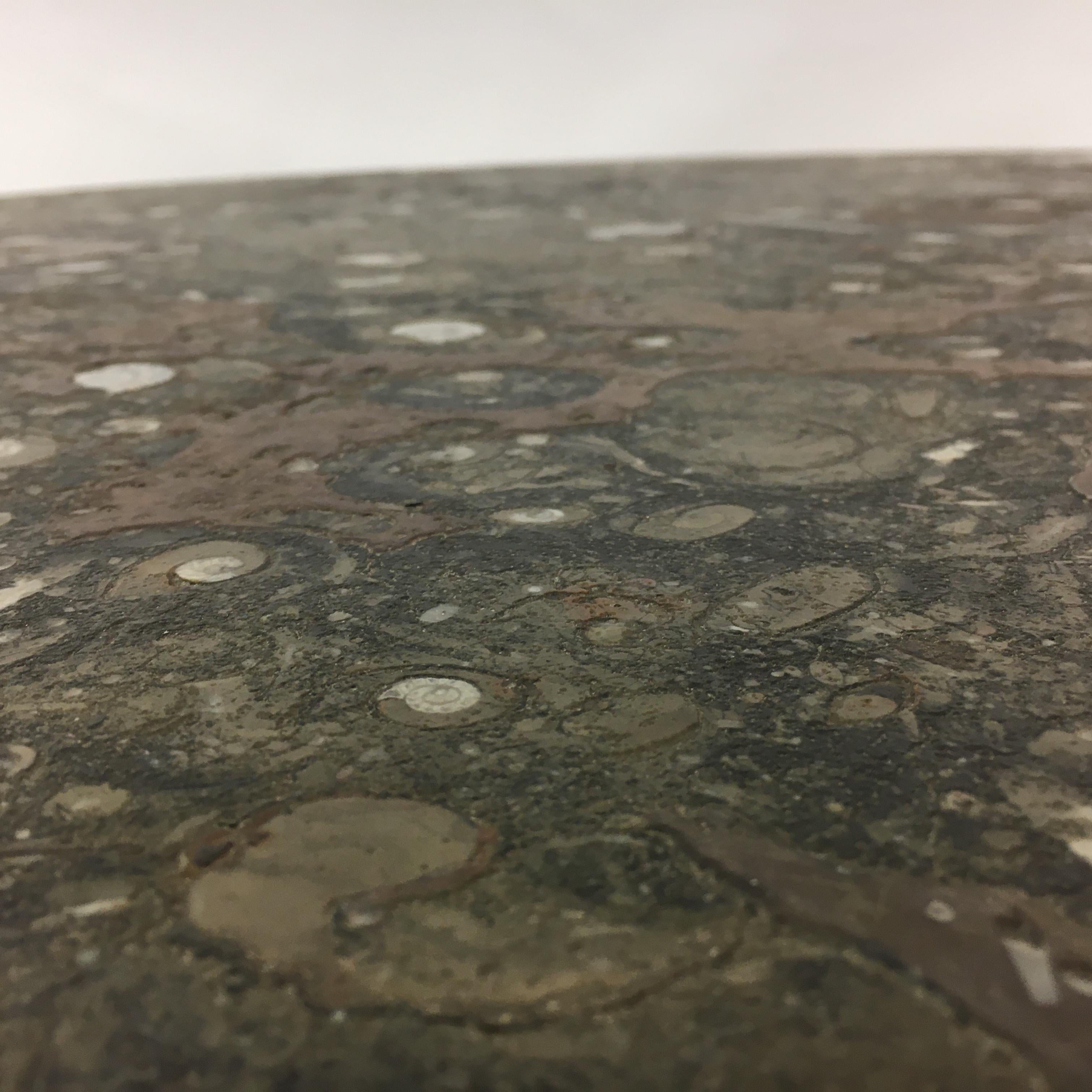 Table basse design du milieu du siècle dernier par Heinz Lilienthal avec marbre fossile , 1970 en vente 3