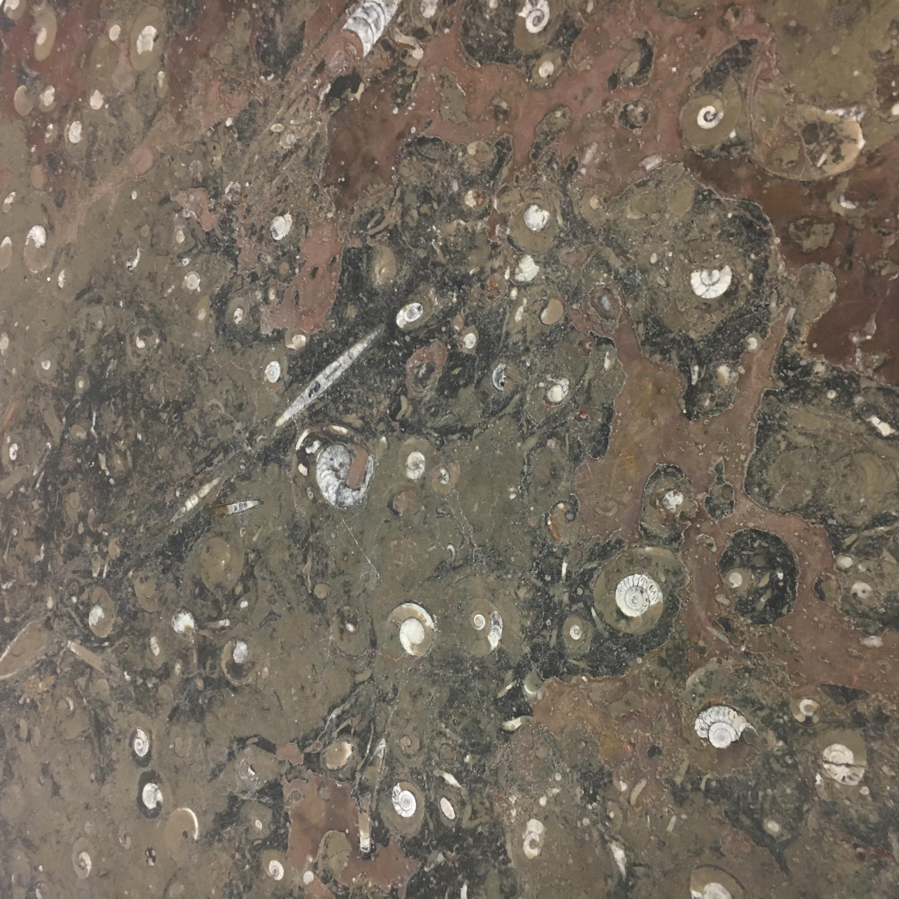 Table basse design du milieu du siècle dernier par Heinz Lilienthal avec marbre fossile , 1970 en vente 1