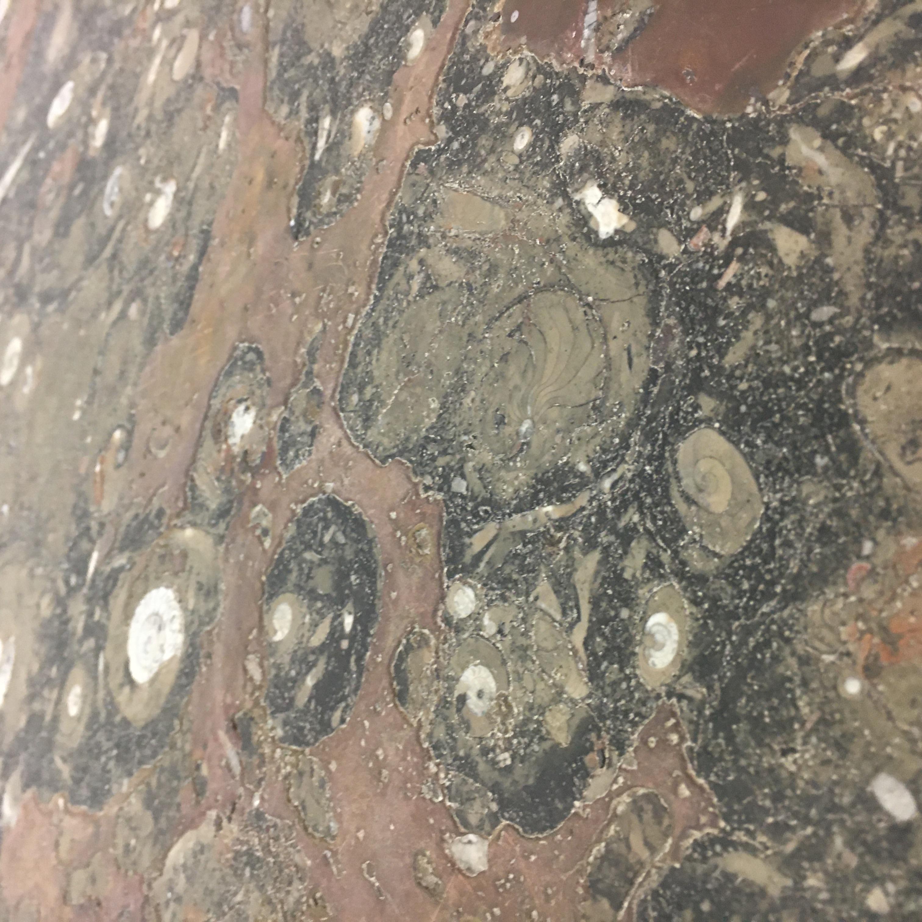 Table basse design du milieu du siècle dernier par Heinz Lilienthal avec marbre fossile , 1970 en vente 2