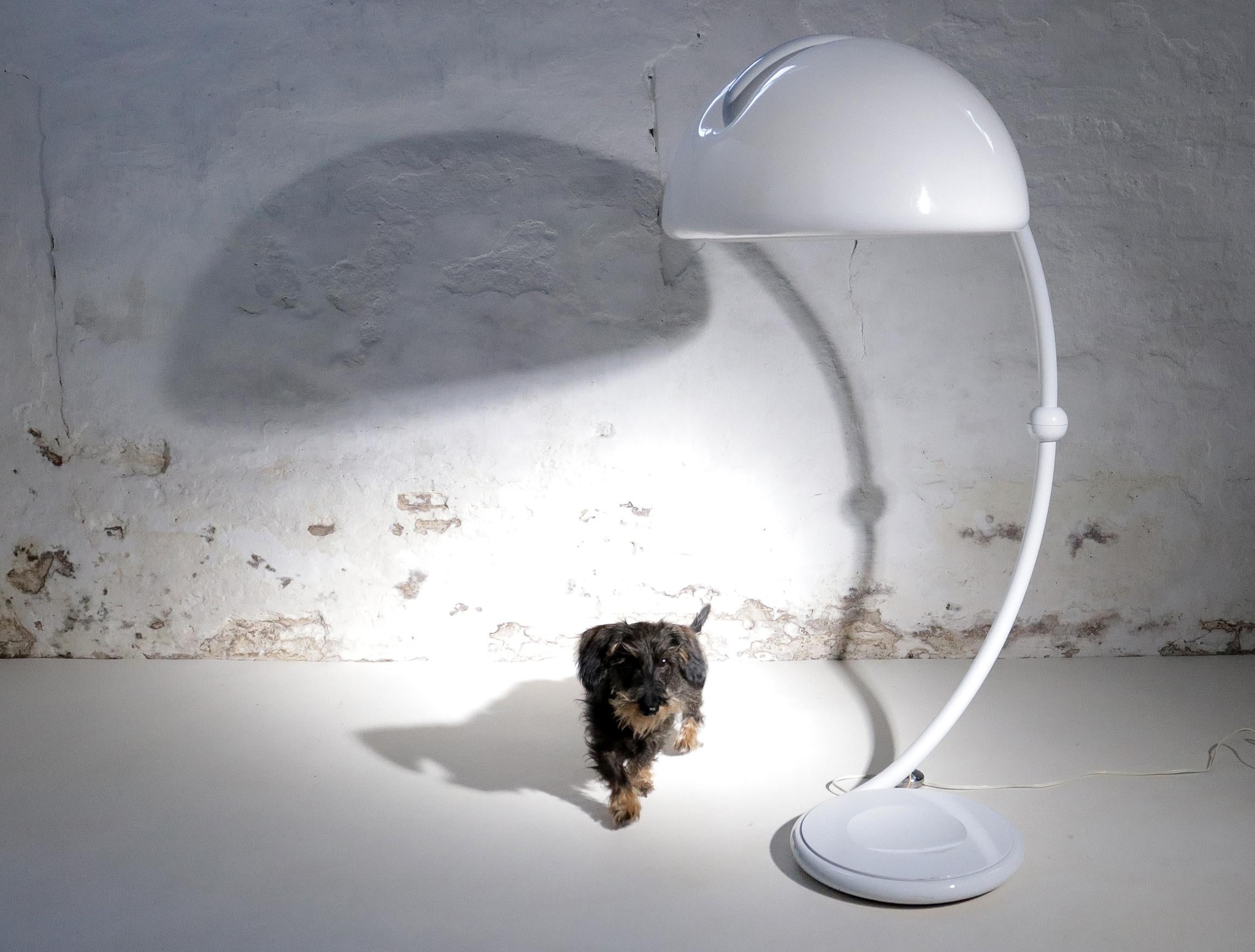 Mid-Century Design Serpente Lamp Martinelli Luce, Elio Martinelli - 1965s 2