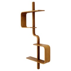 Étagère design du milieu du siècle par Ludvik Volak, années 1960 