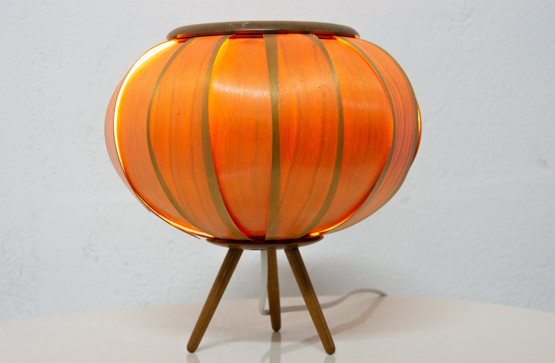 Midcentury Desk Lamp by Stanislav Kučera for ULUV, 1960s For Sale 8