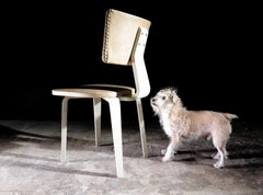 Chaise de salle à manger du milieu du siècle par Cor Alons:: Gouda Den Boer Gouda:: 1949