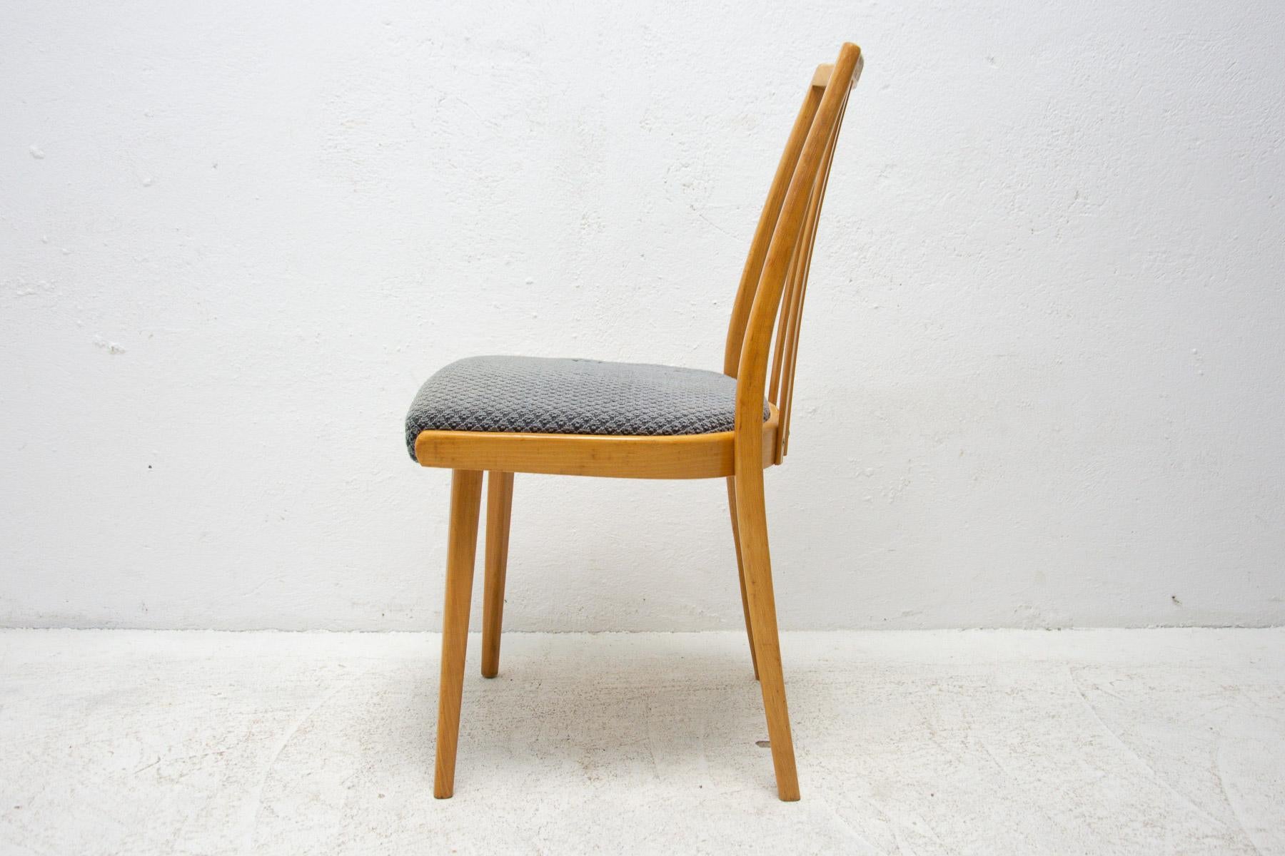 Mid Century Dining Chair by Jiří Jiroutek for Interiér Praha, 1960's In Good Condition For Sale In Prague 8, CZ
