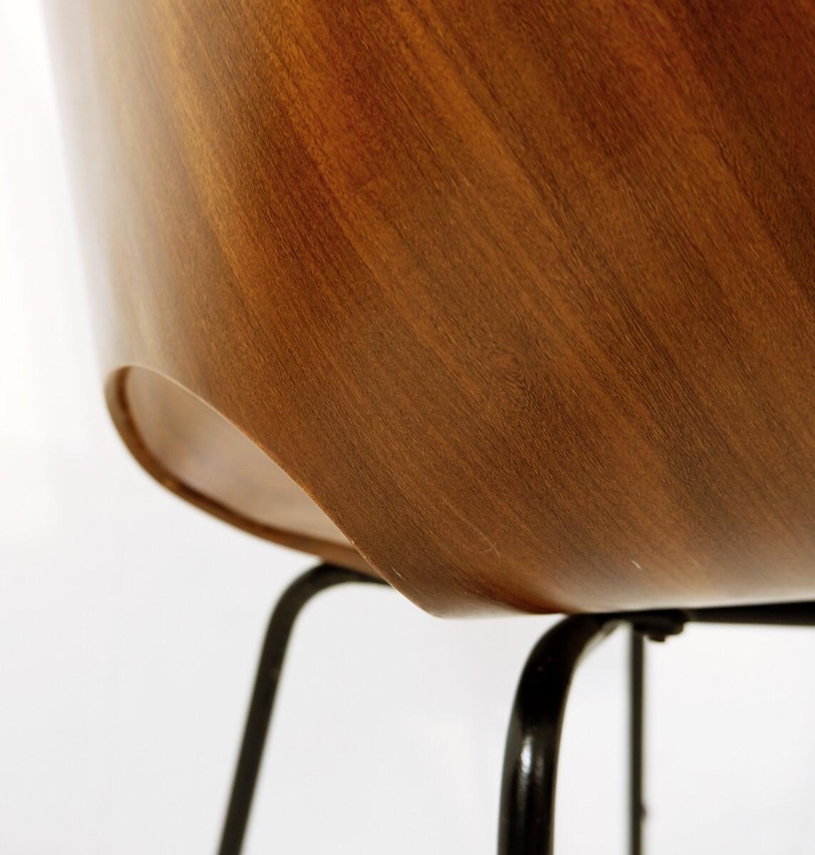 Bentwood Mid-Century Dining Chair by Vittorio Nobili, Fratelli Tagliabue, Italy, 1950s