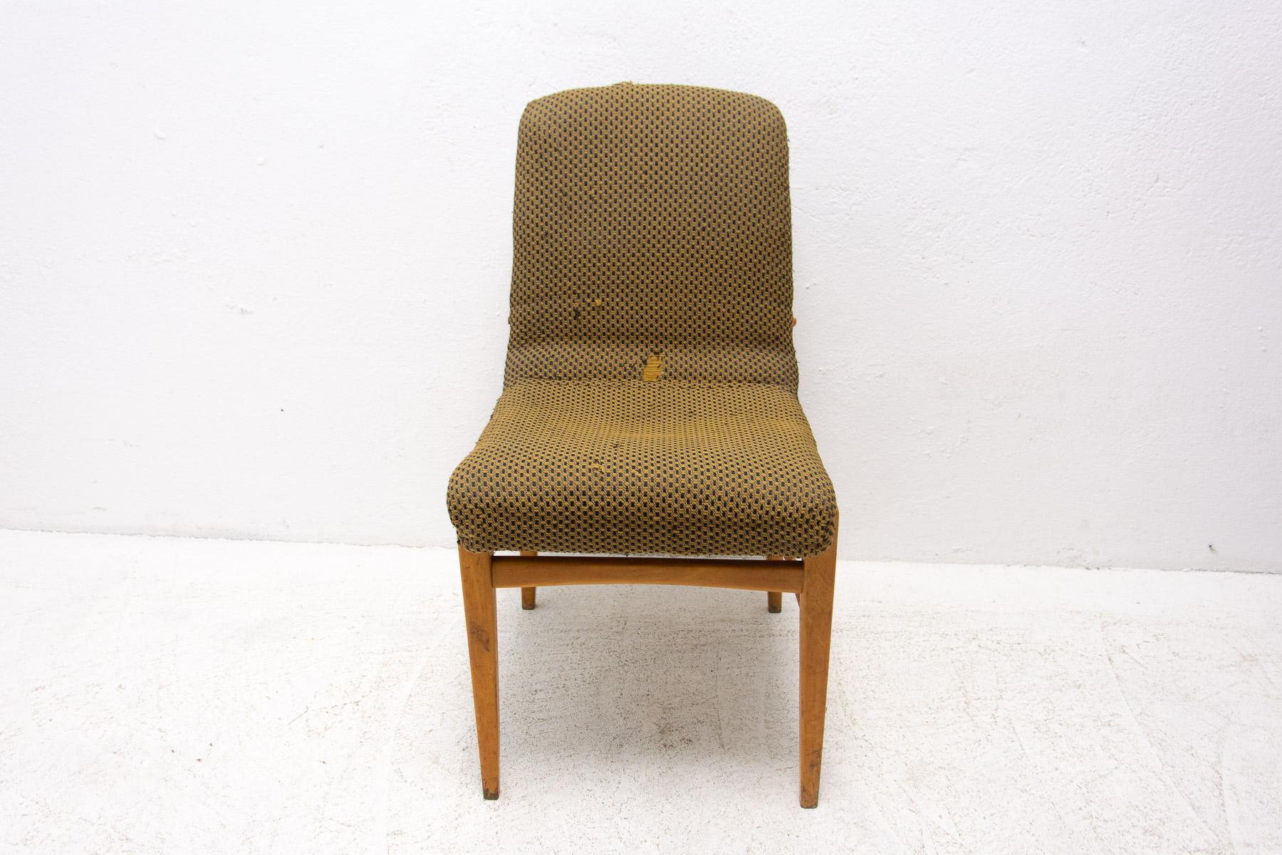Esszimmerstühle aus der Mitte des Jahrhunderts, 1960er Jahre, 2er-Set im Angebot 3