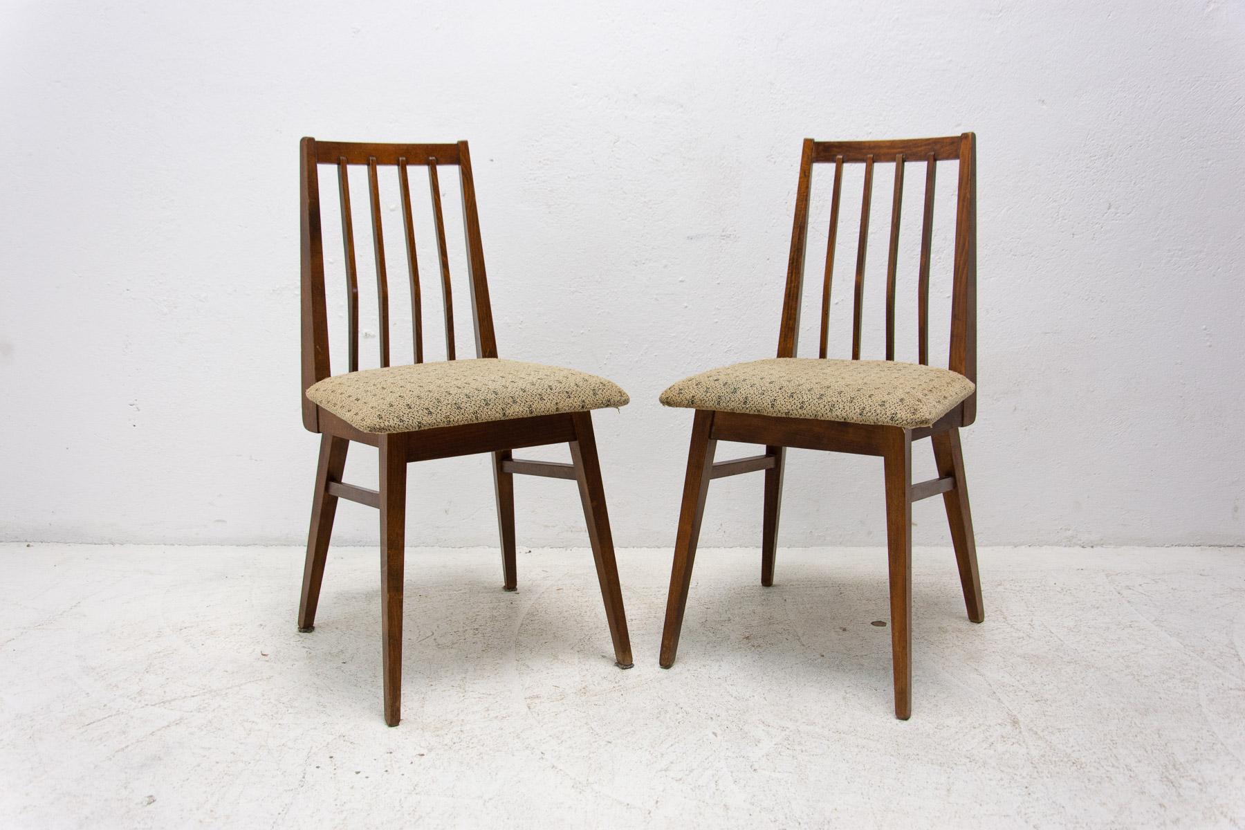 Ein Paar gepolsterte Esszimmerstühle, hergestellt in der ehemaligen Tschechoslowakei in den 1970er Jahren. Die Stühle sind aus Buchenholz gefertigt. Sehr interessante Formgebung. Die Polsterung und das Holz sind in gutem Vintage-Zustand, mit