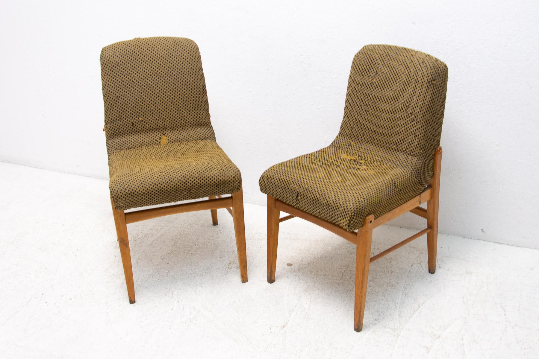 Esszimmerstühle aus der Mitte des Jahrhunderts, 1960er Jahre, 2er-Set (Tschechisch) im Angebot