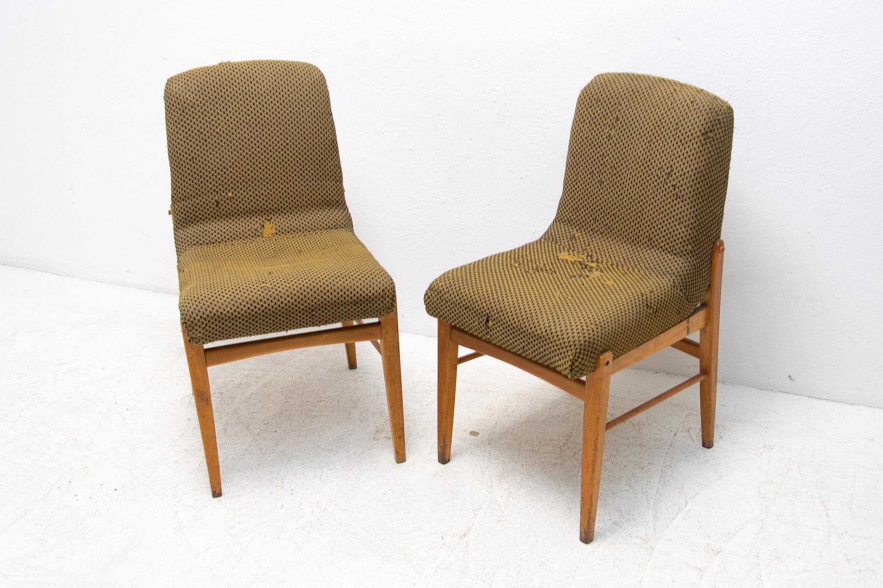 Tchèque Chaises de salle à manger du milieu du siècle dernier, années 1960, lot de 2 en vente