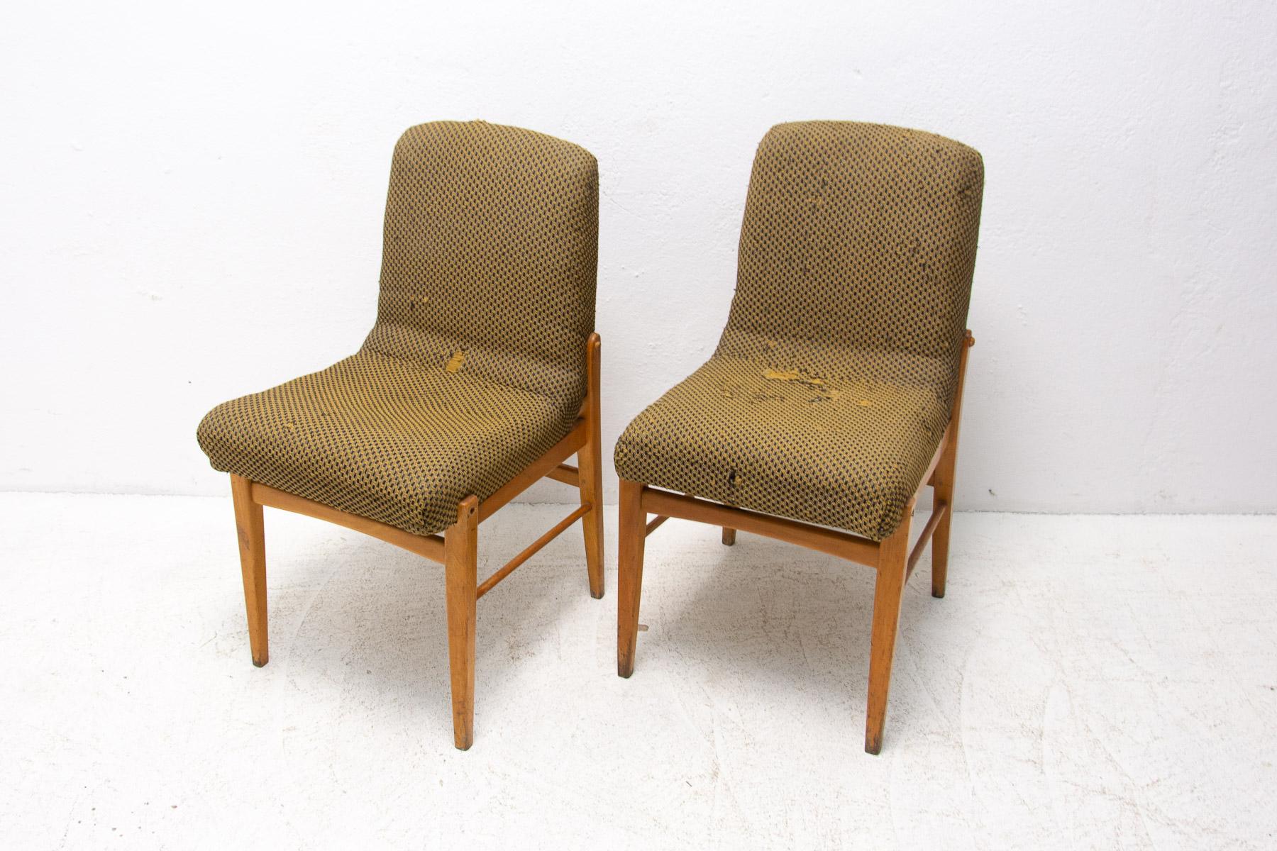 Esszimmerstühle aus der Mitte des Jahrhunderts, 1960er Jahre, 2er-Set (Buchenholz) im Angebot